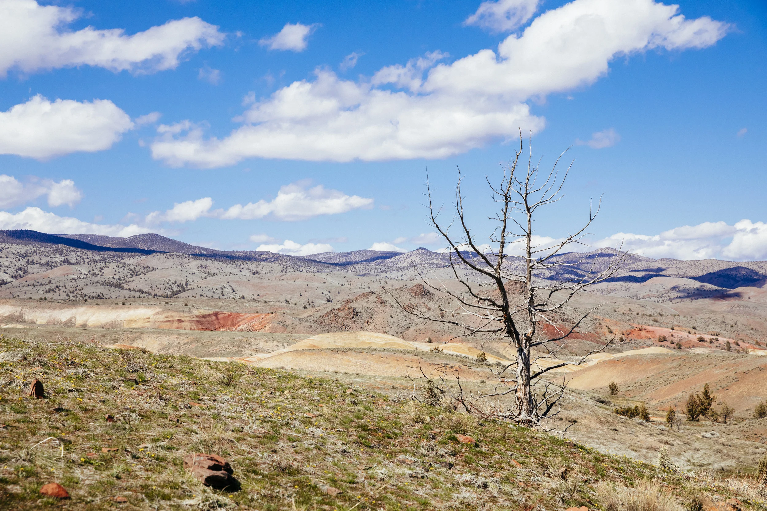 Painted Hills, OR