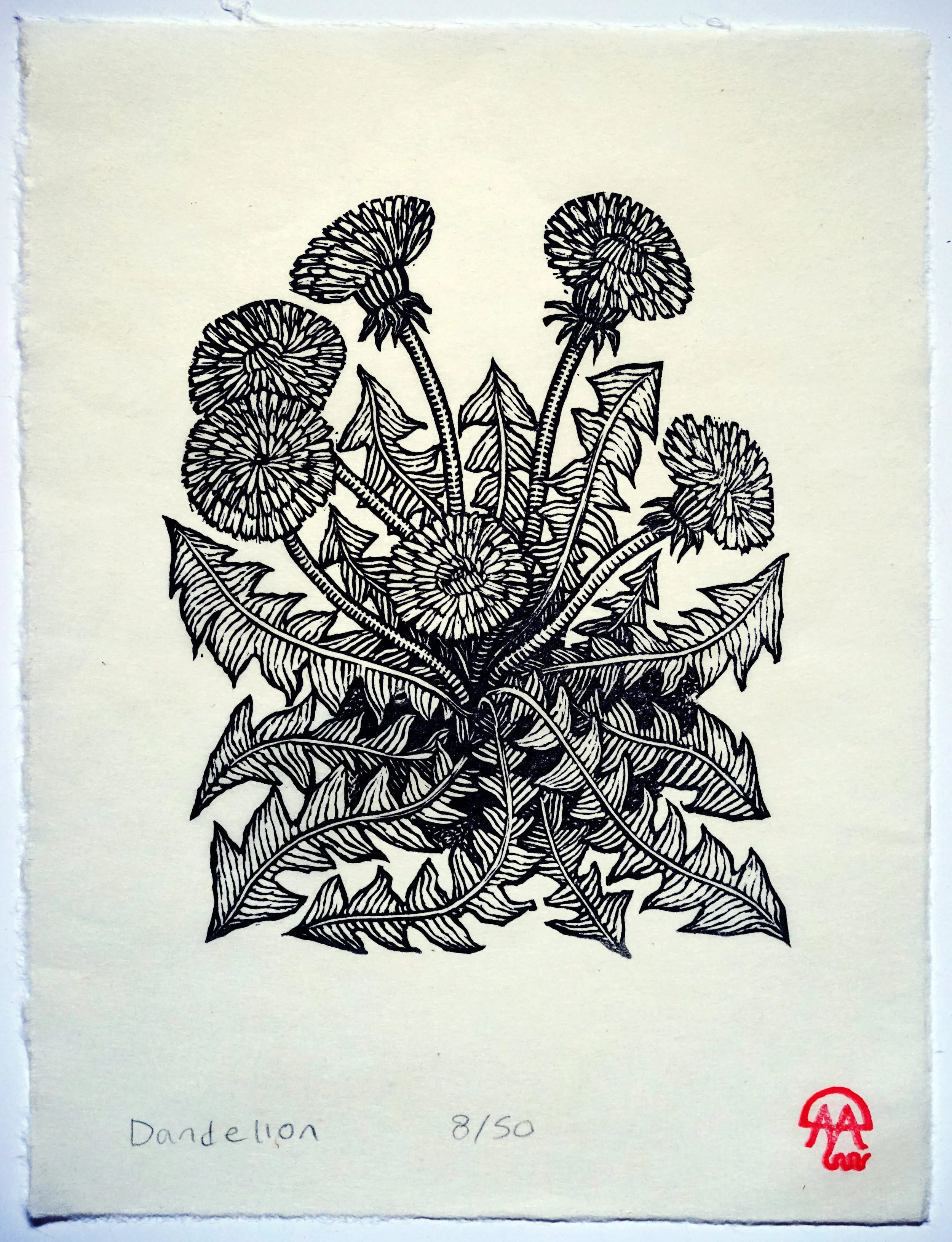 dandelion.jpg