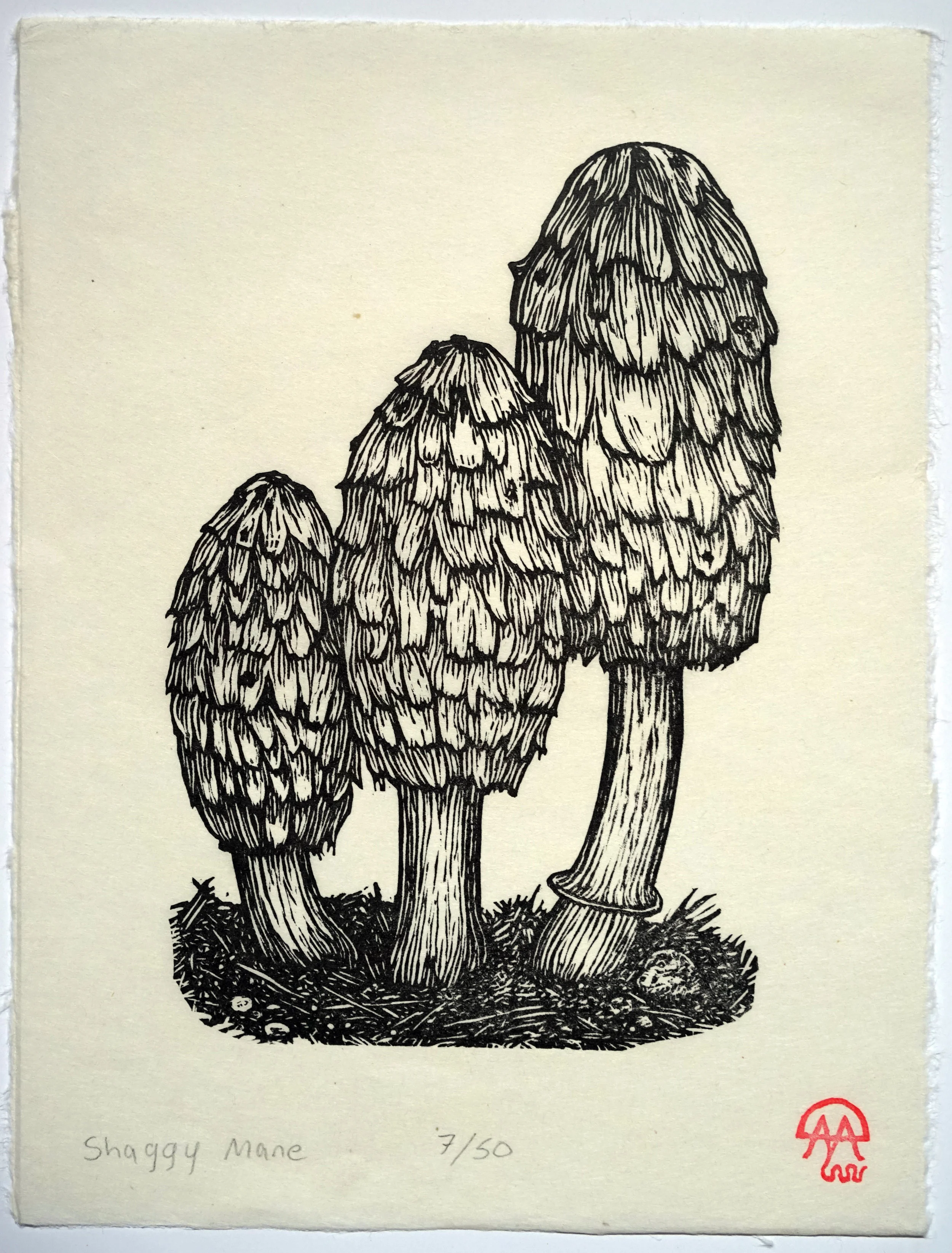 Shaggymane.jpg