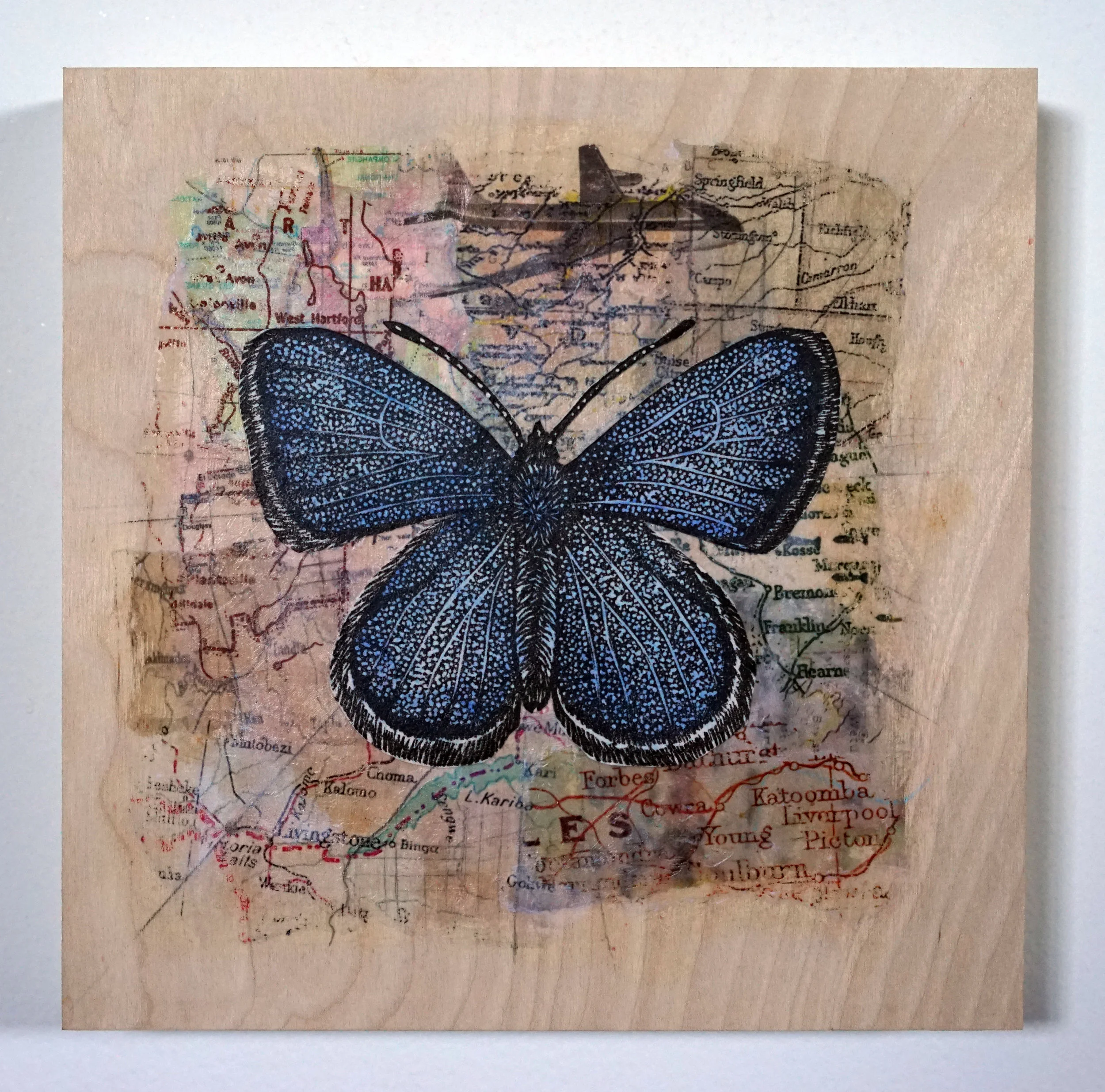 Palos Verde Blue