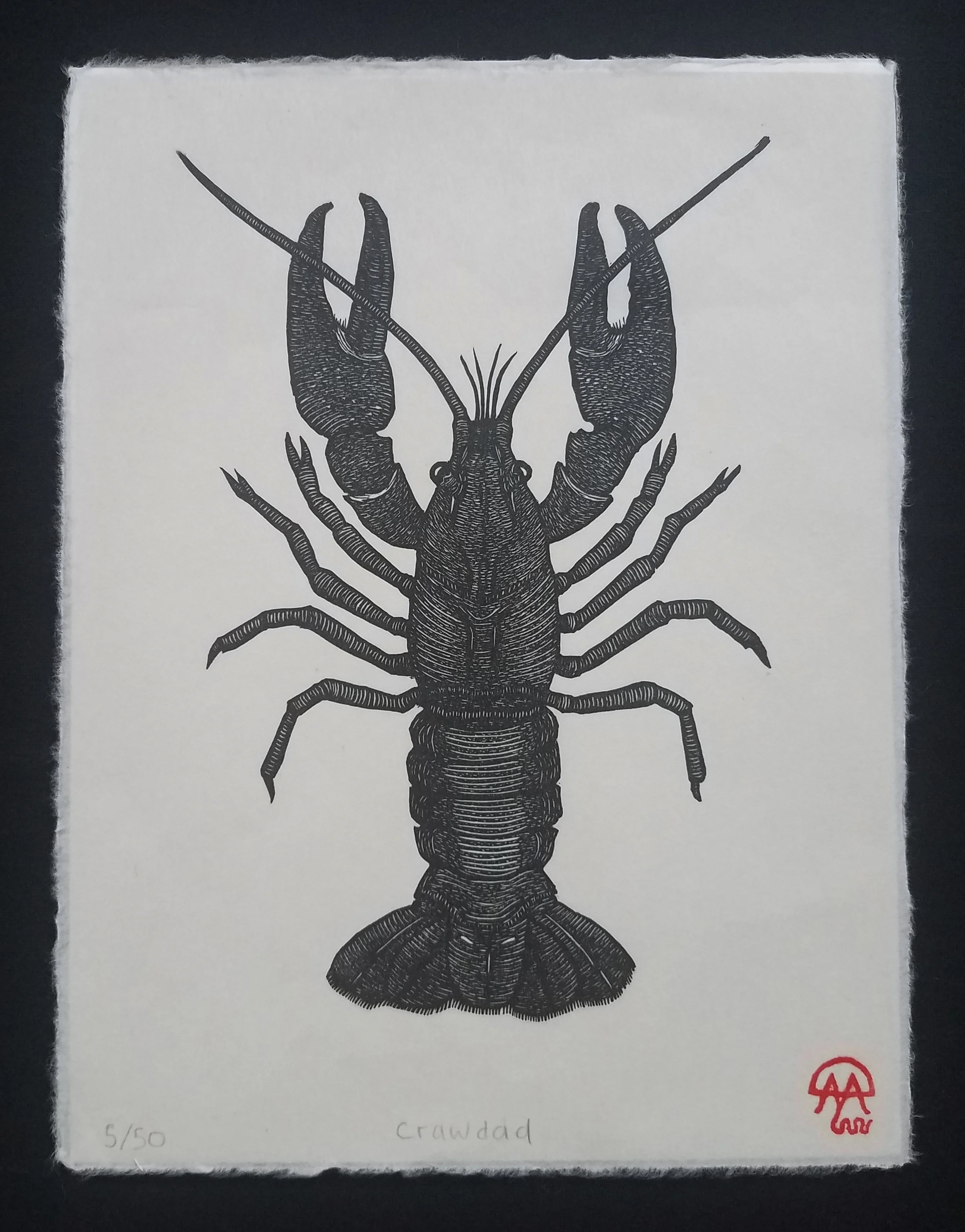 Crawdad.jpg