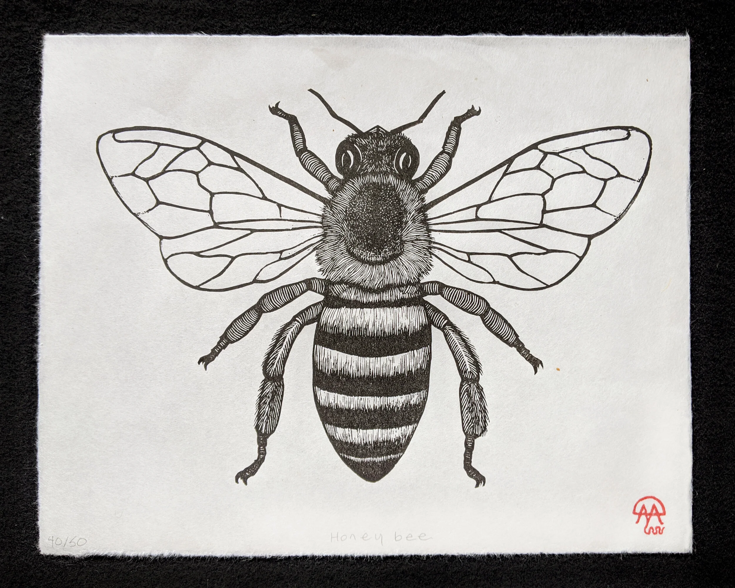 honeybee copy.jpg