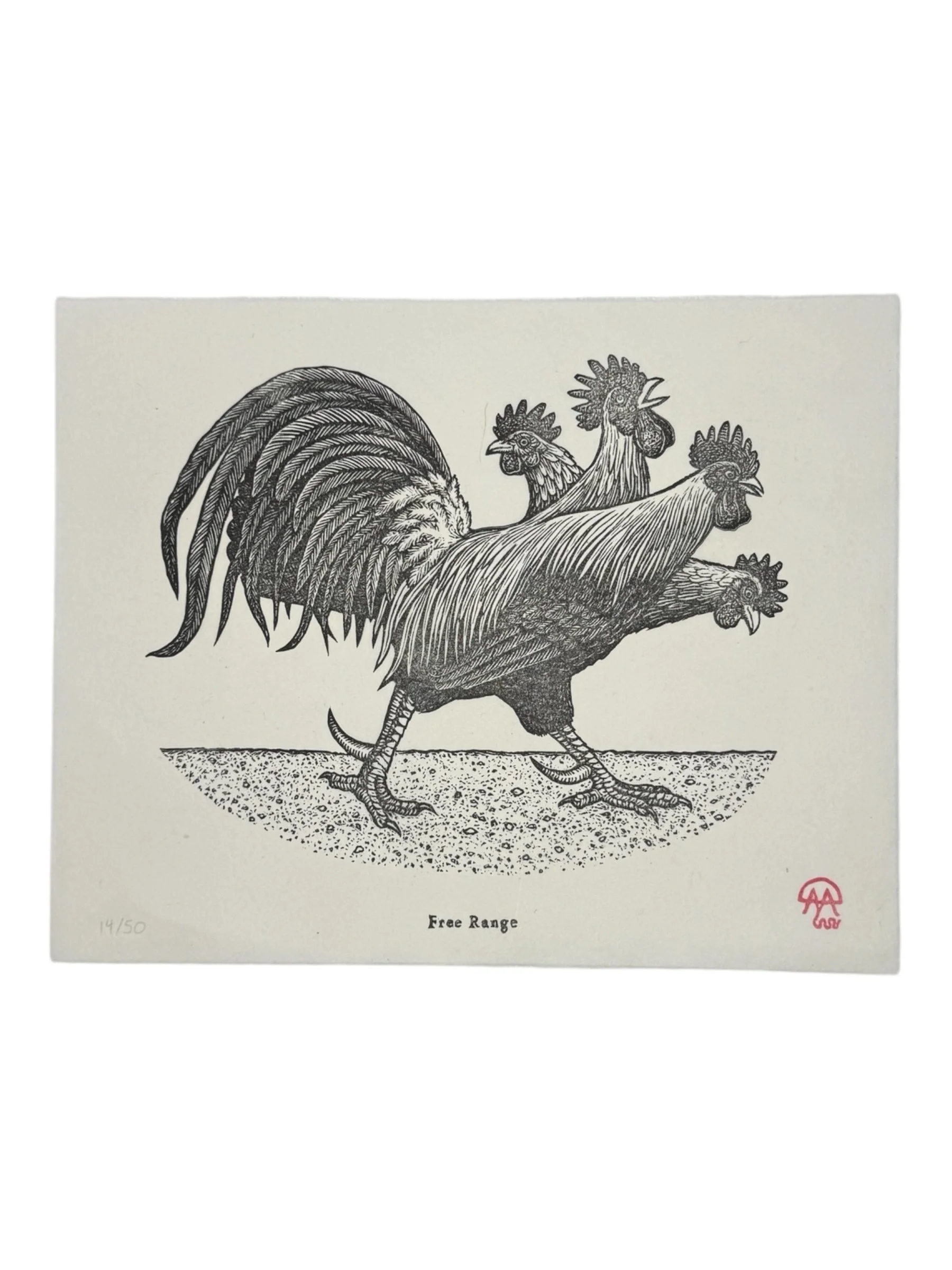 anomal-press-linocut-print-chicken-free-range-montana-feathers-bird