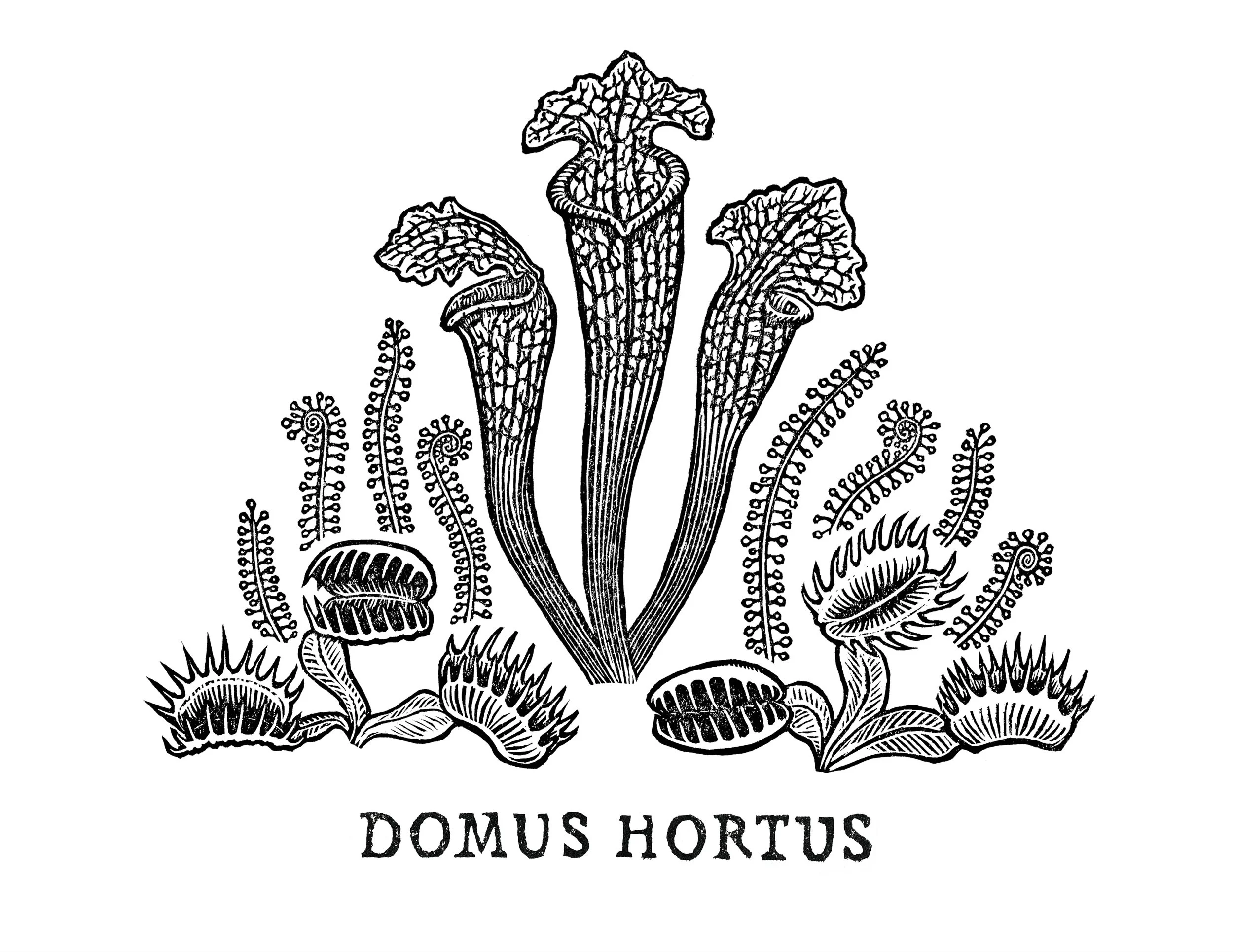 Domus Hortus final.jpeg