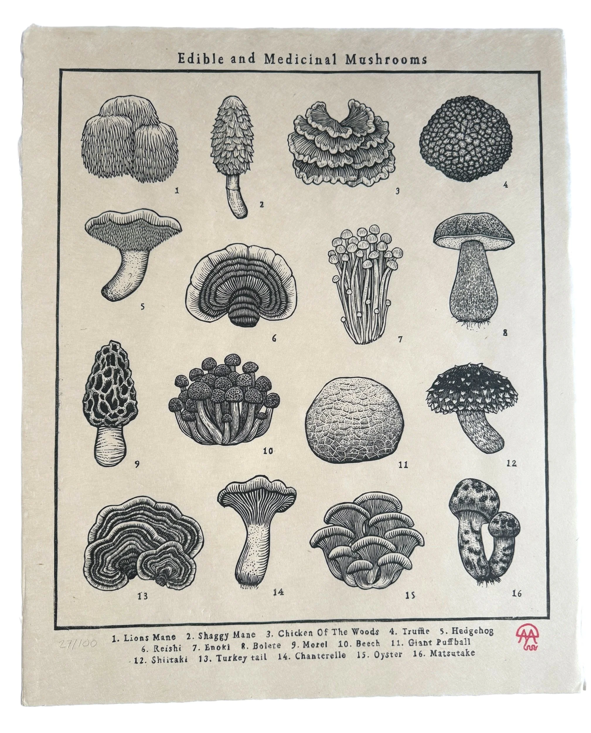 anomalpressedibleandmedicinalmushroomlinocutprint