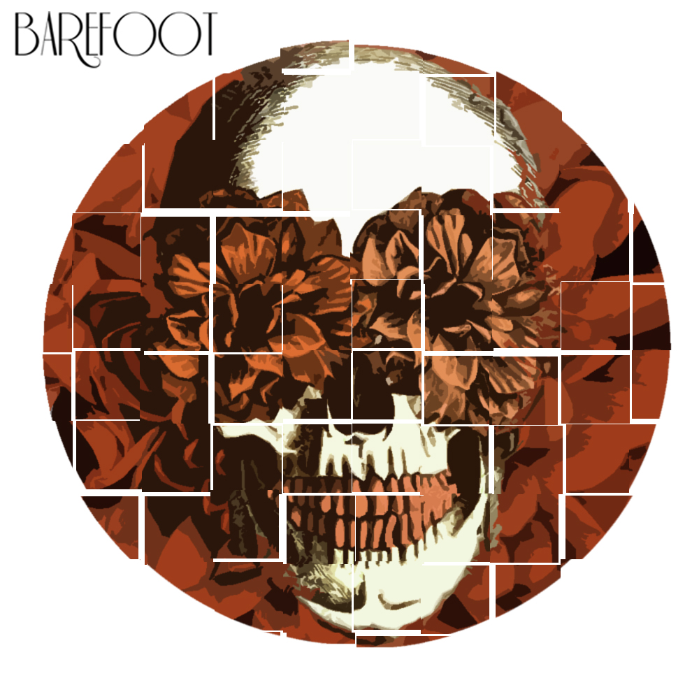 Barefoot music charming souls album cover.jpg