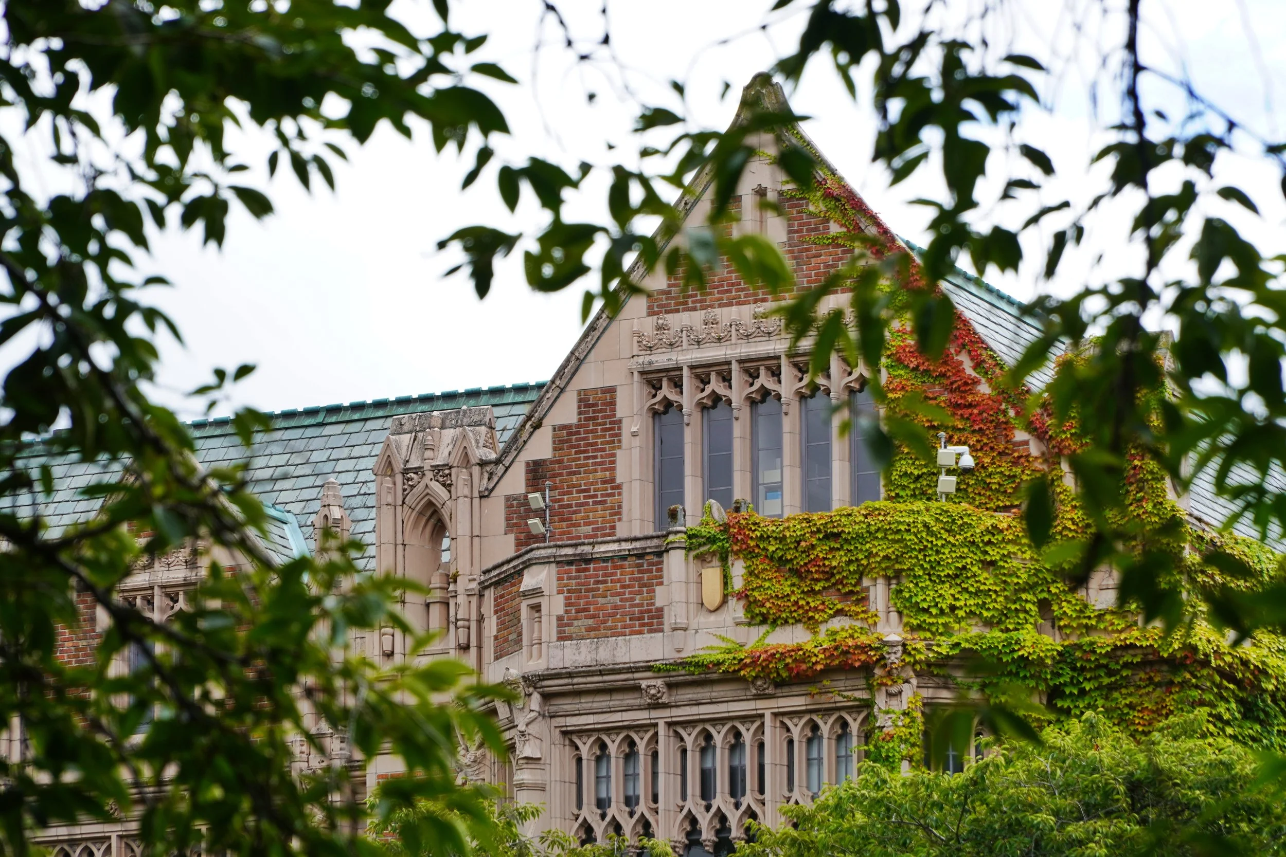 Background Image 4.jpeg