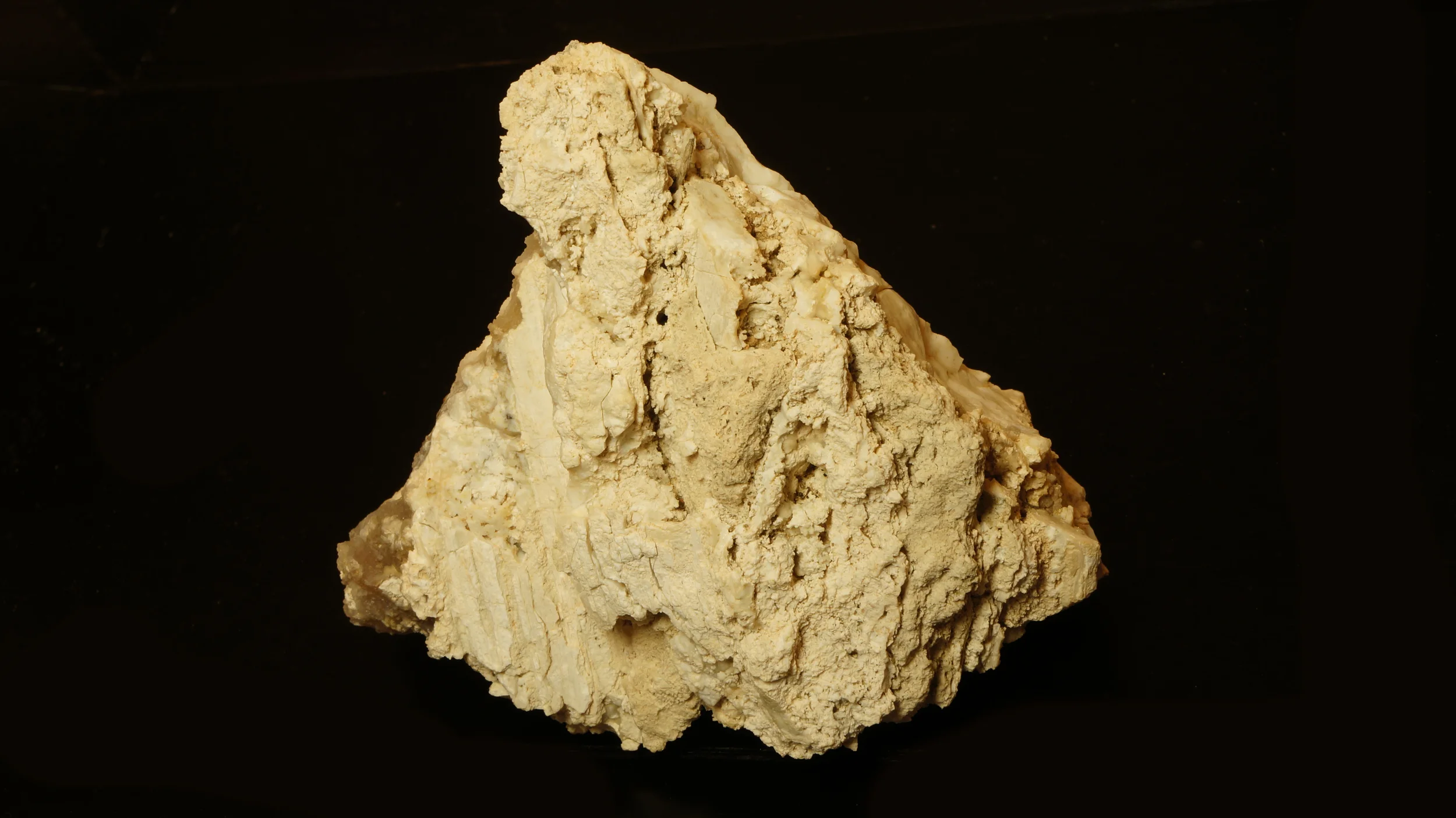   Visible   Palm leaf (Palmae sabalites) 8-13mya   Hyalite   Gypsum   Detrital Valley, AZ  