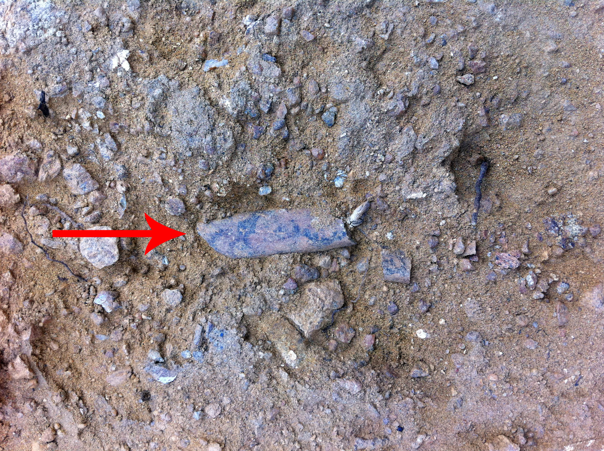  unidentifiable degraded bone fragment. Taken back in the days when I was excited by this. Good times. 
