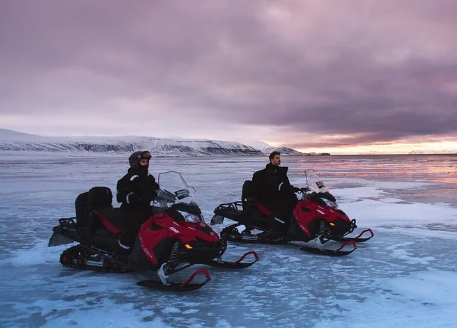 SNOWMOBILES