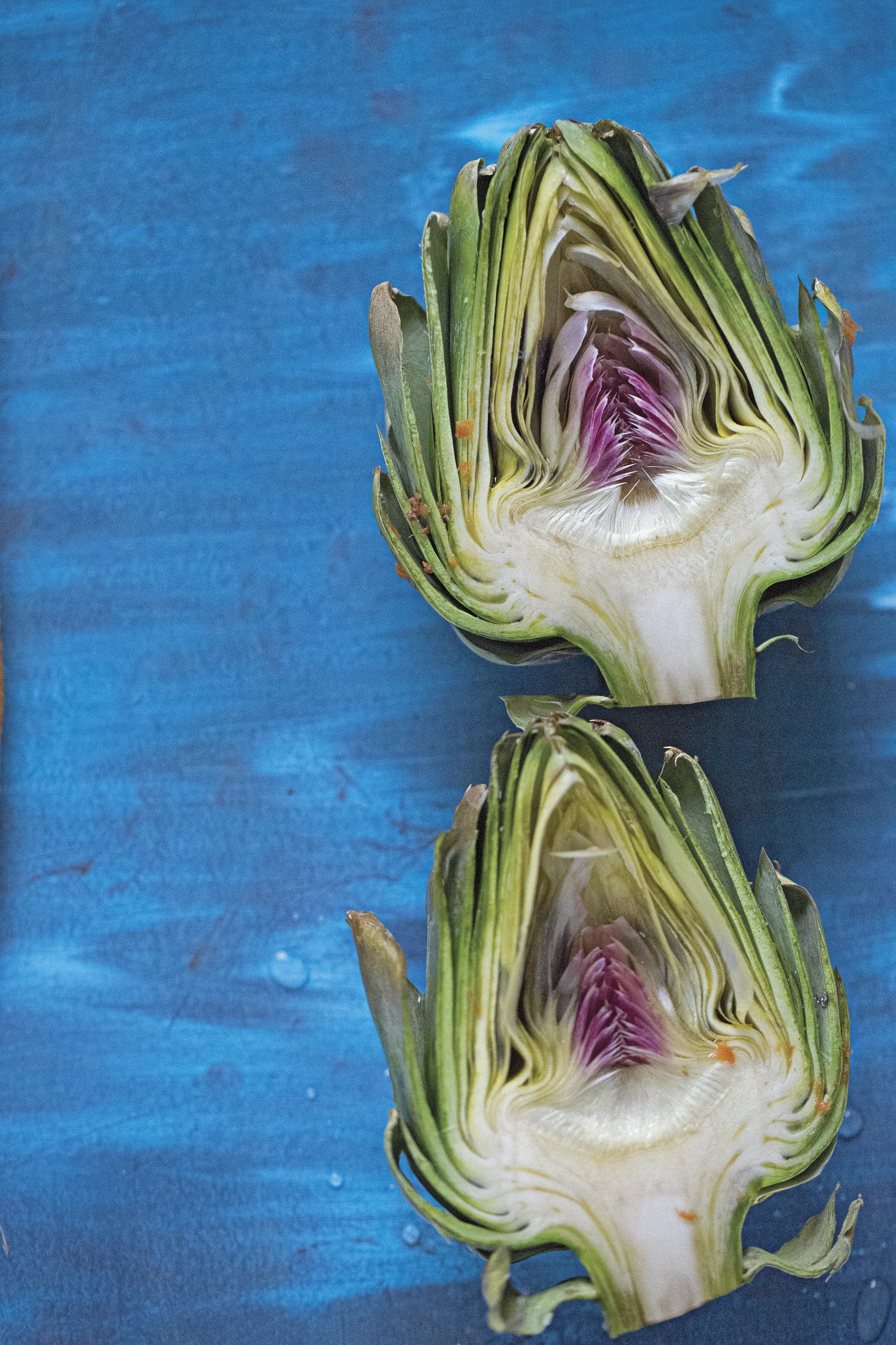 artichoke_output_cmyk copy.jpg