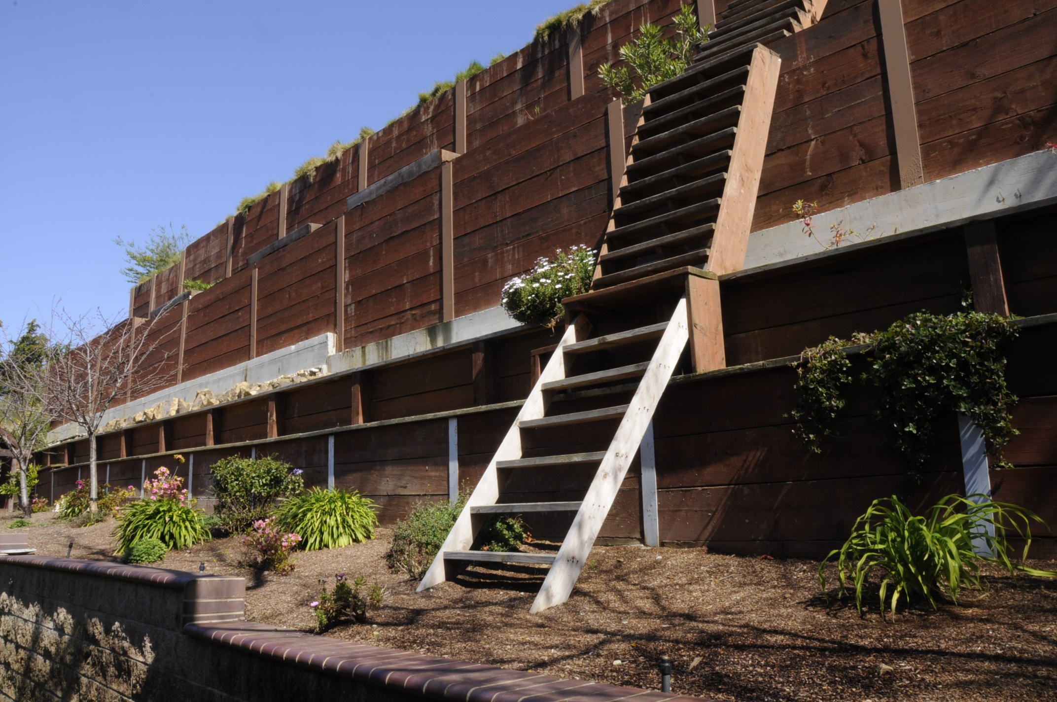 Brown, wooden retaining wall with plants in front of a stair case