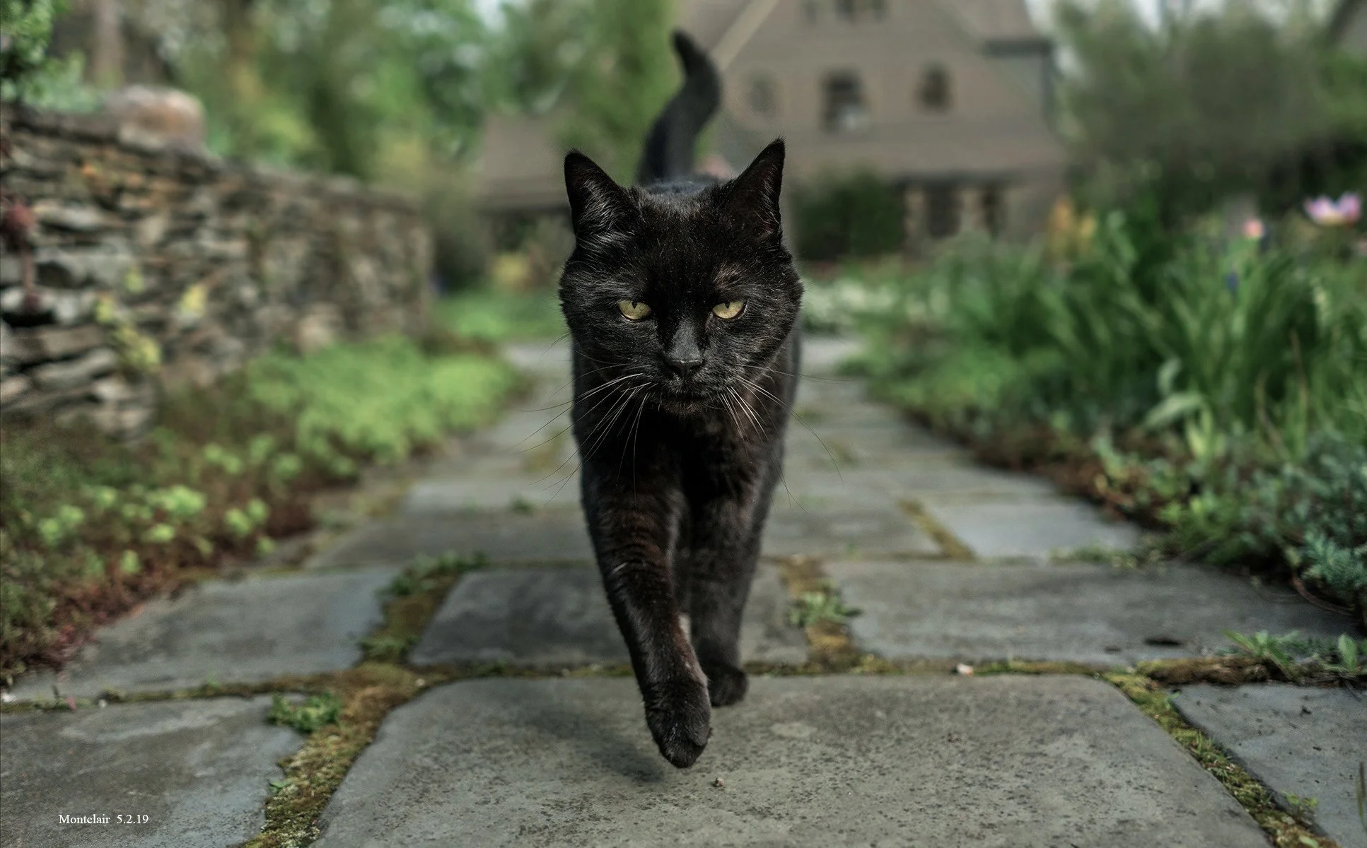 -                                                                                           Stella.jpg