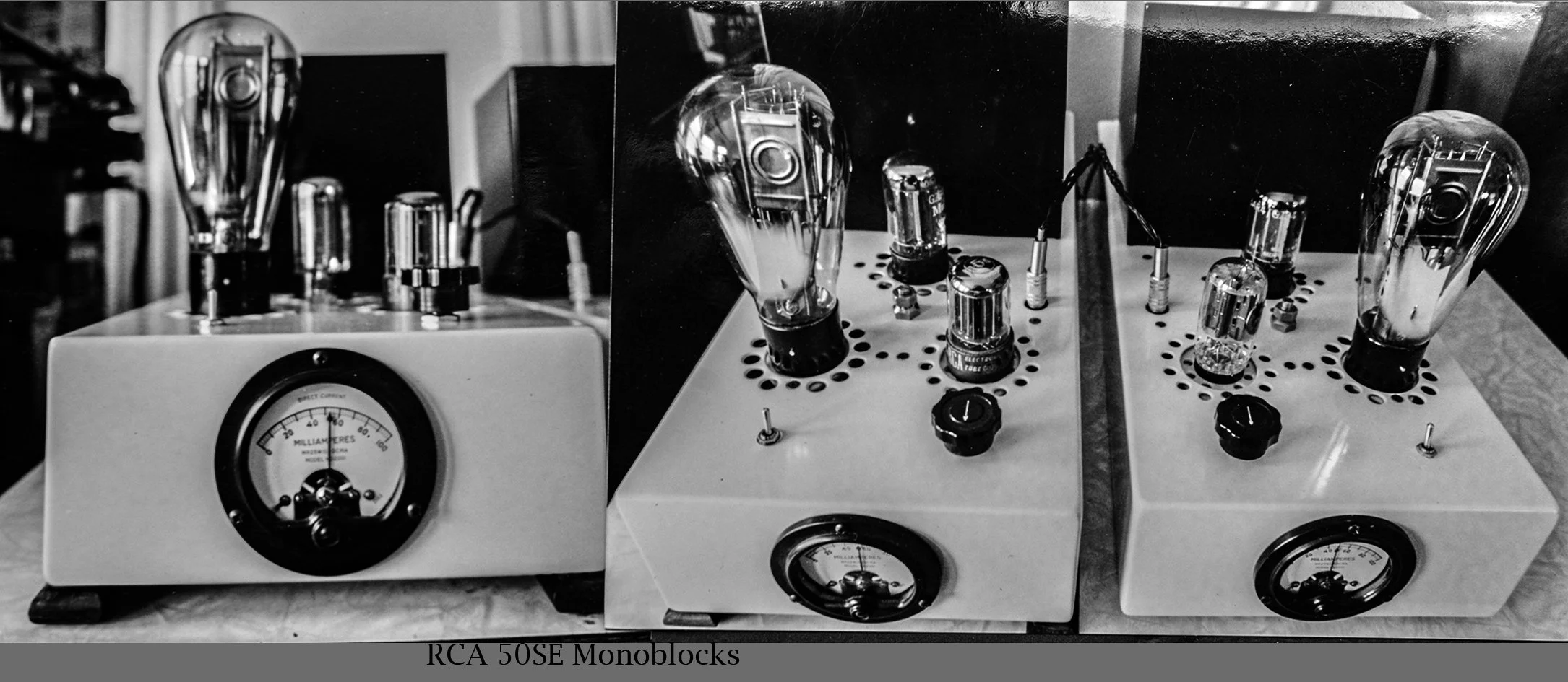 0                          50  300b amp monos.jpg
