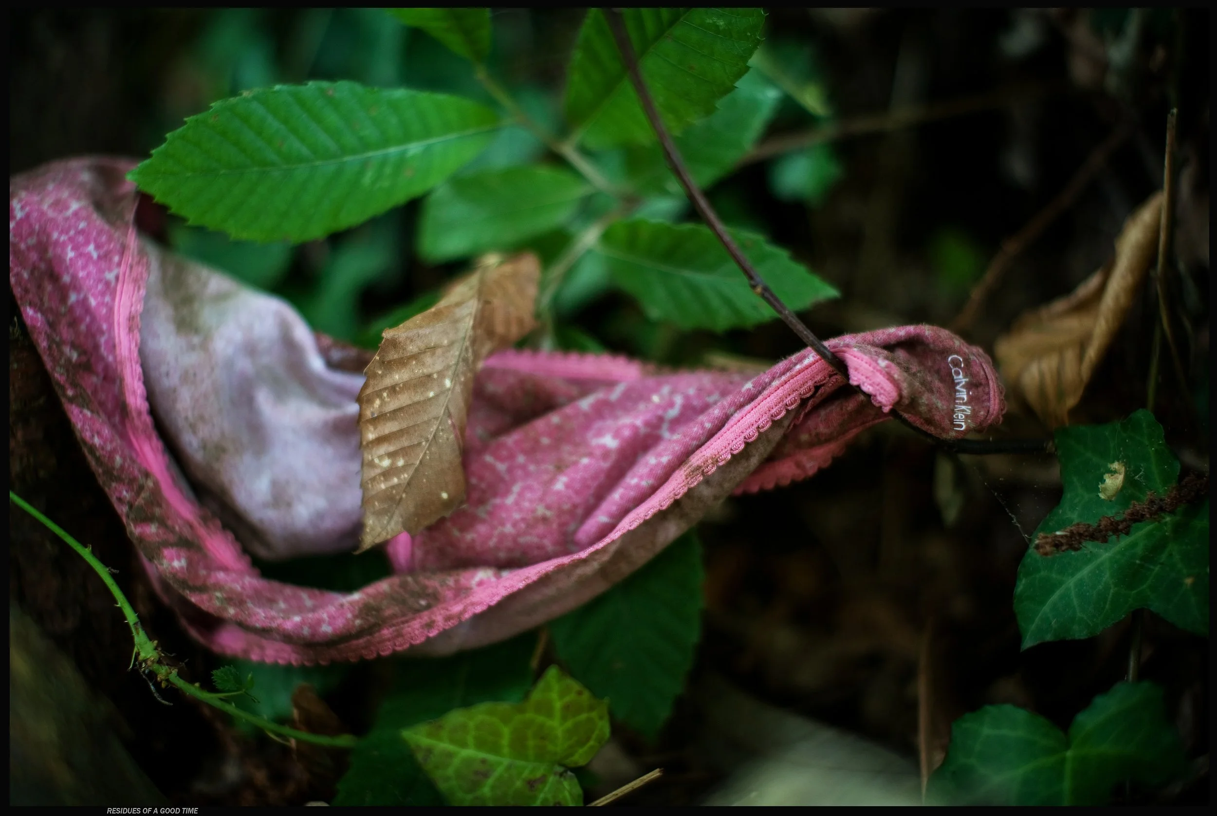 Caneiros Residuos.jpg