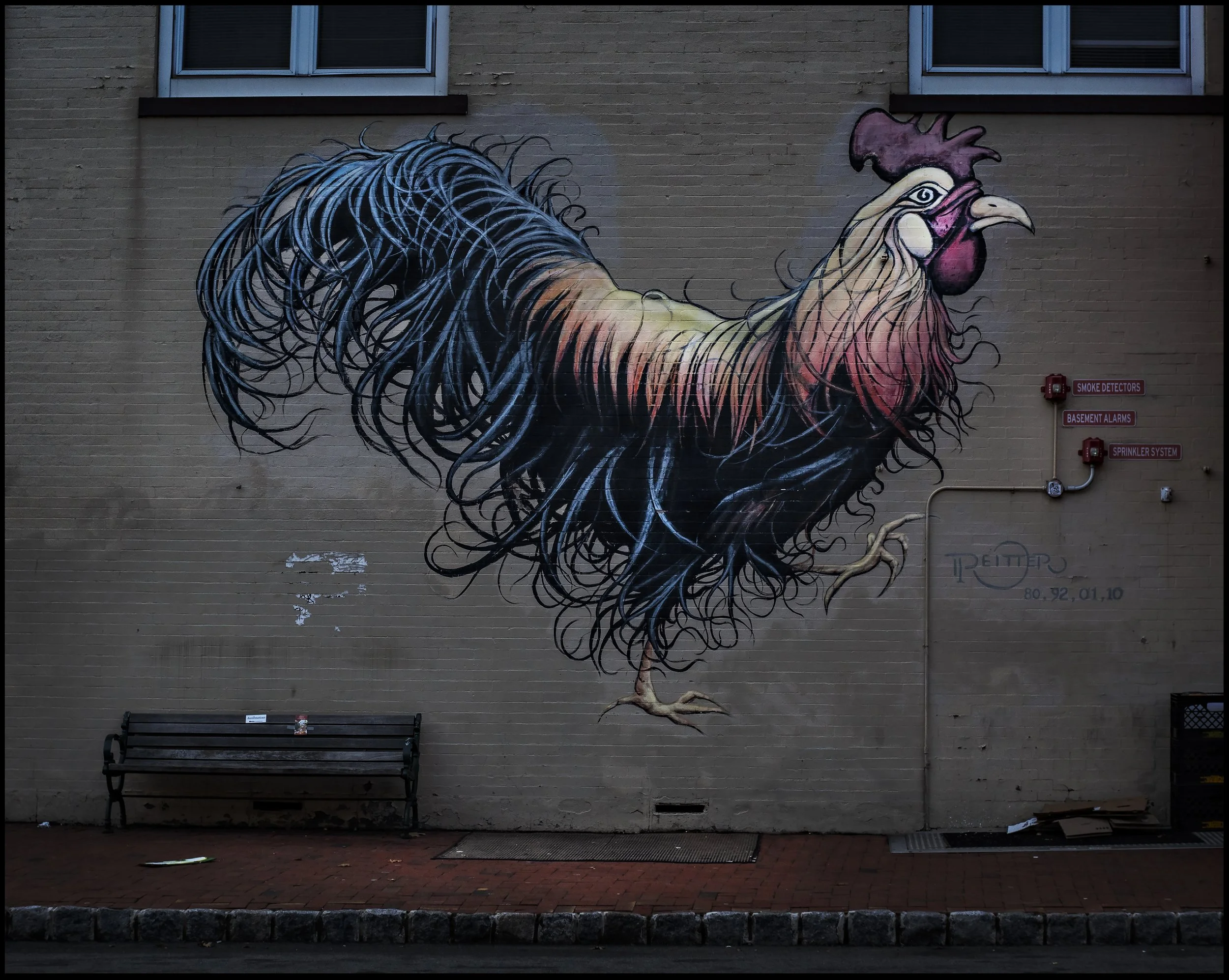 Park ST Montclair NJ  2.22.26.jpg