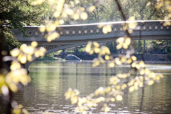 bow_bridge_and_leaves_color.jpg
