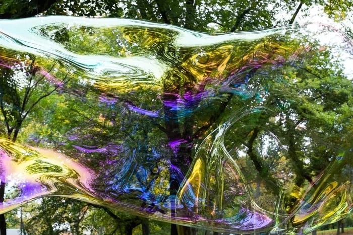11_central_park_fall_bubble.jpg