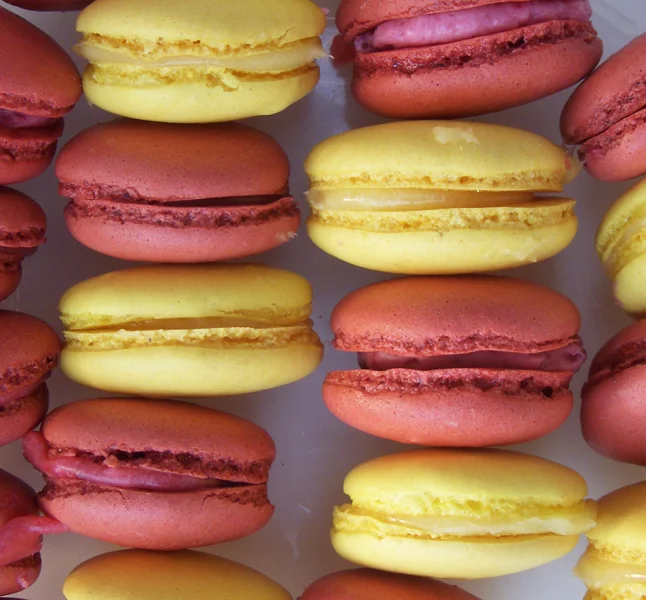 macs_assorted4.jpg
