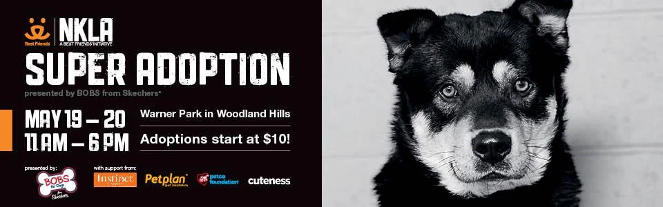 NKLA Super Pet Adoptions Woodland Hills, California: Non Profit Event ATM Rental Company