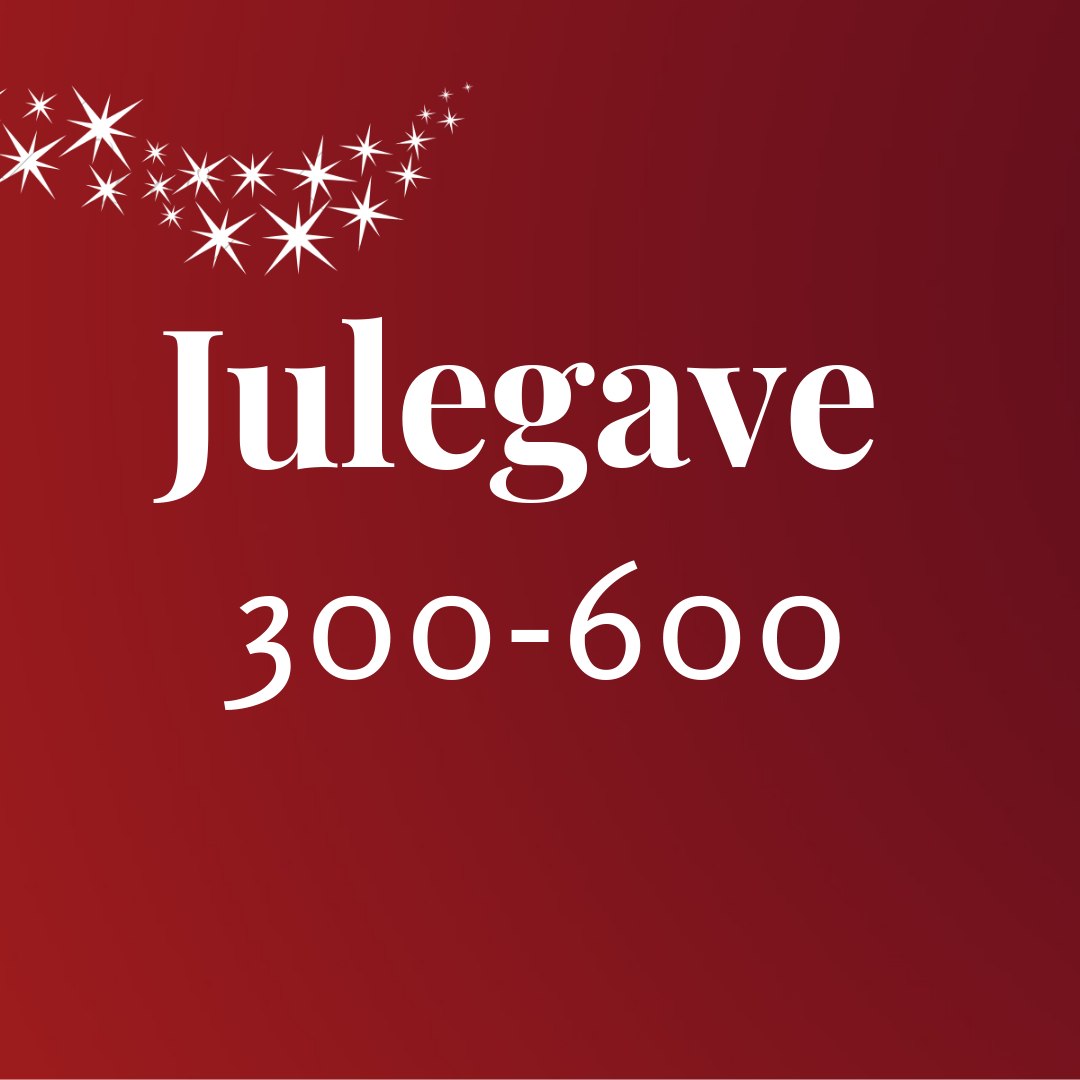 julegave300_600.png