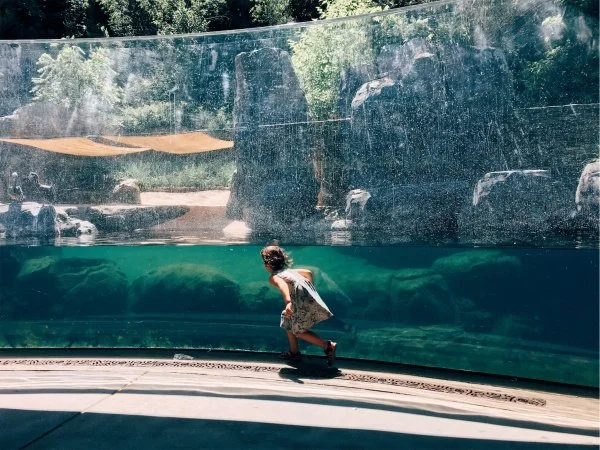 vsco5b4234b5121fc.jpg
