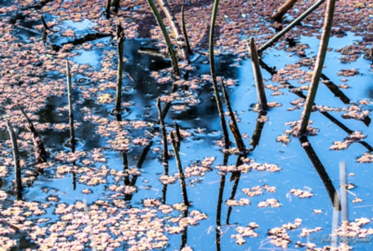 1506_untitled_008-8.jpg