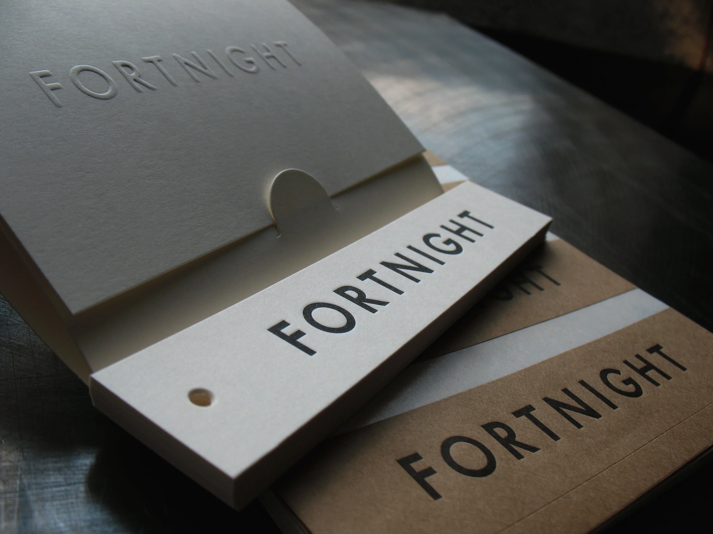 Fortnight Care Guide, Hang Tag and Label