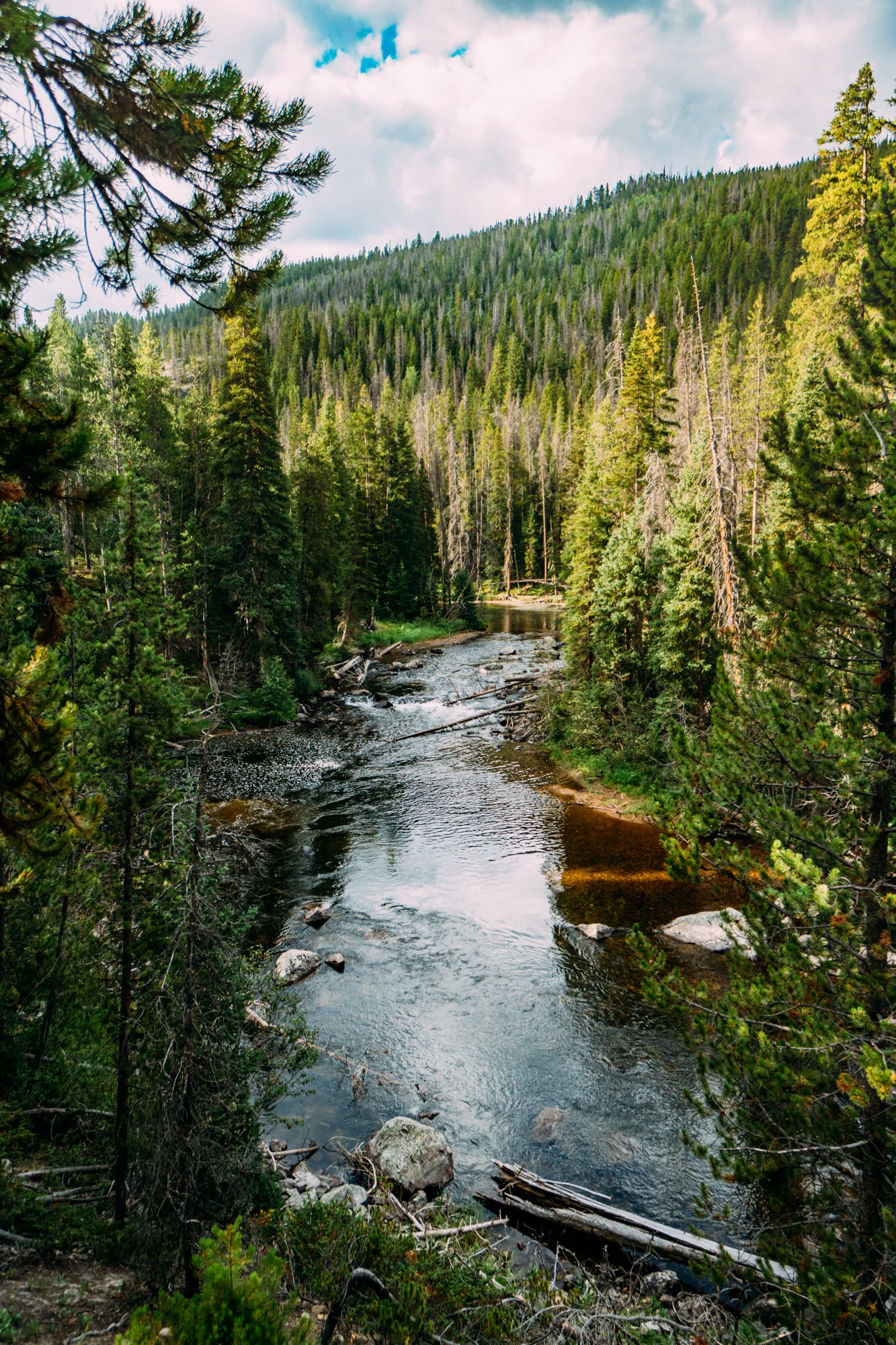 RideToFood_ArapahoValleyRanch-02689.jpg