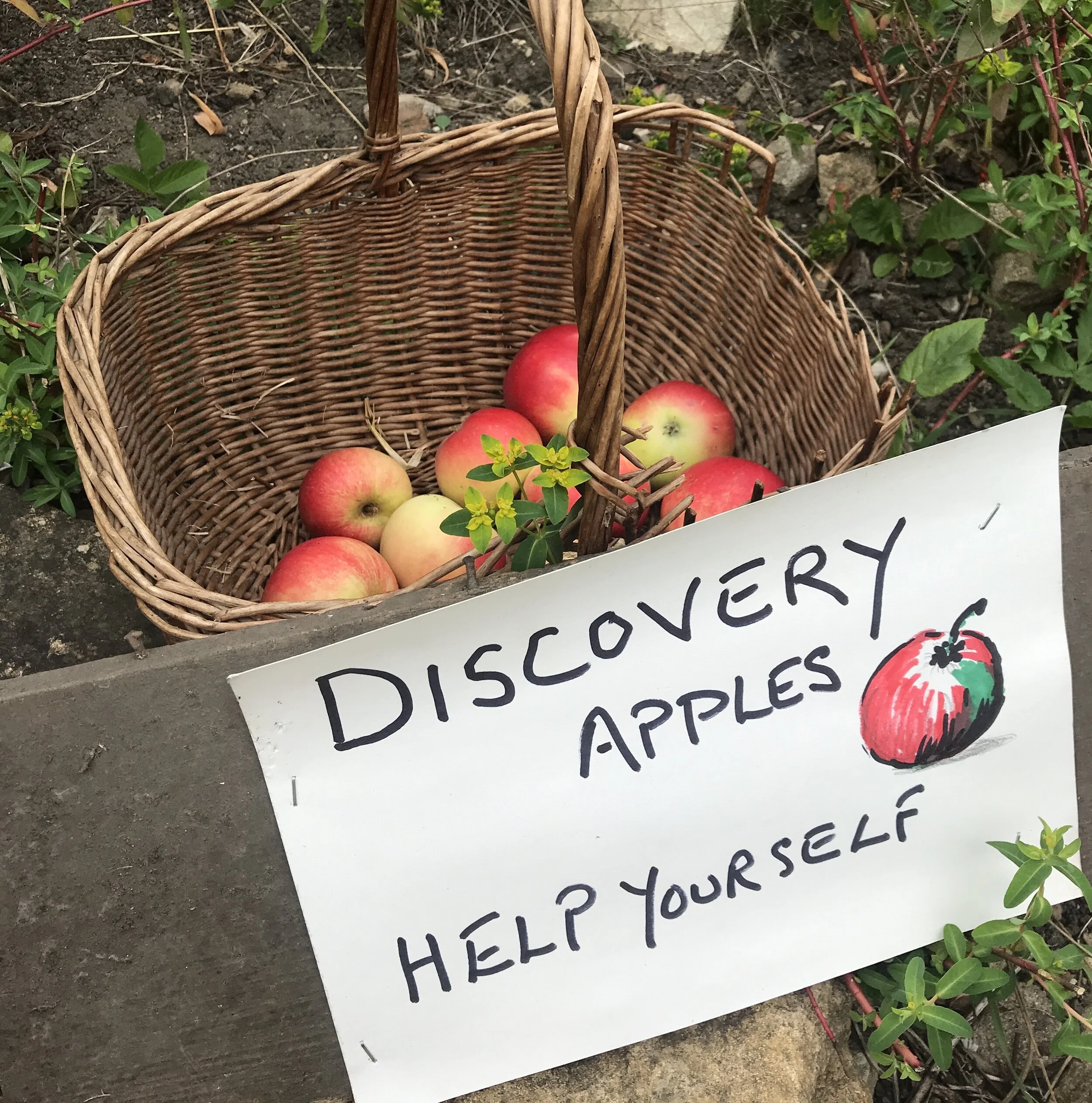 自分を後まわしにしていませんか？ 