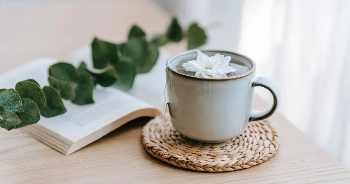 【心身ともにリセットしたい人へ】自然のリズムで生きるとは？季節のリセットへのお誘い