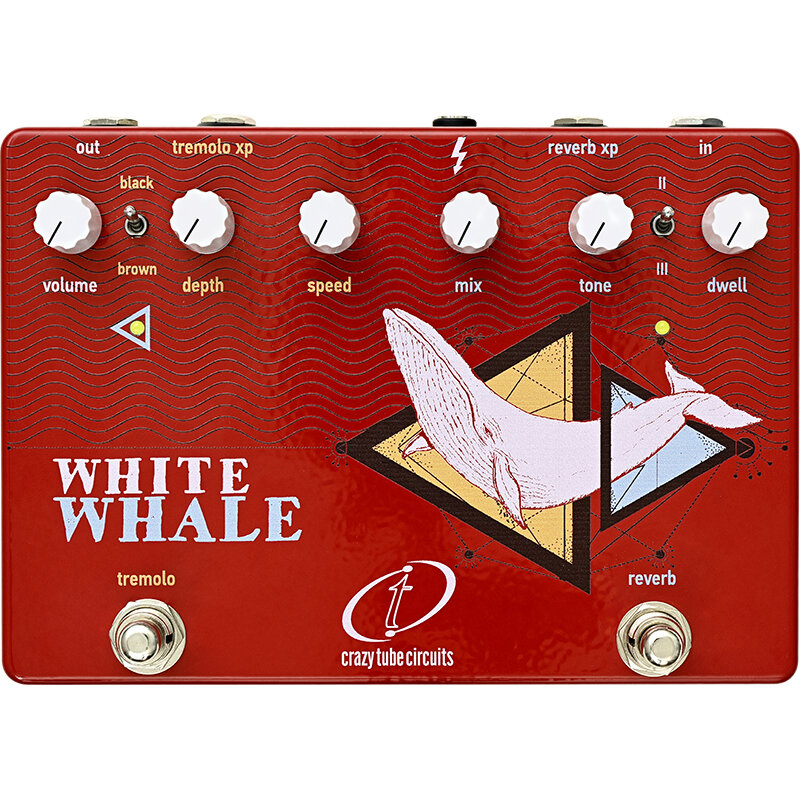whitewhale-newSQ.jpg