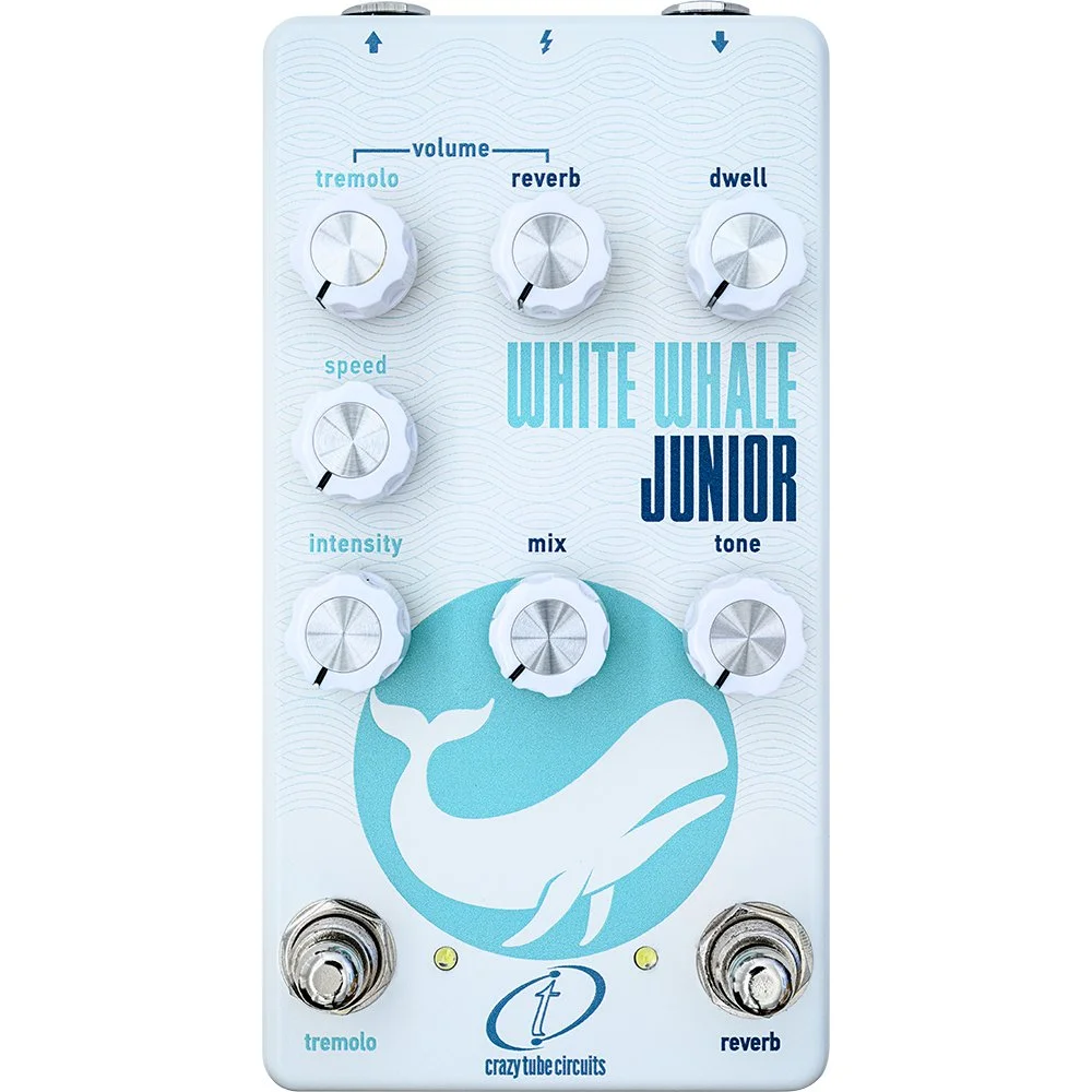 white-whale-jr.jpg