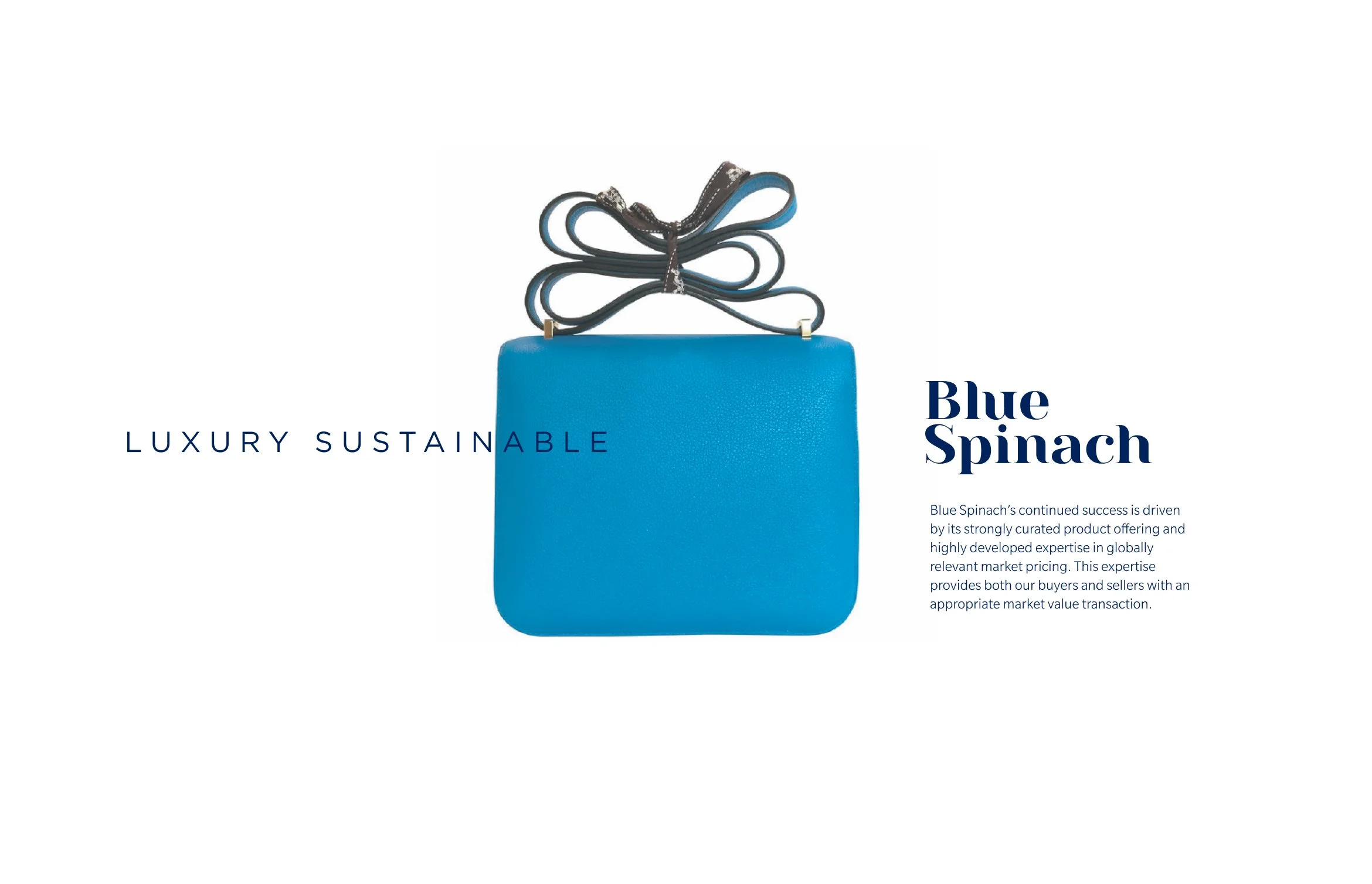 BLUESPINACH-Brand1.jpg