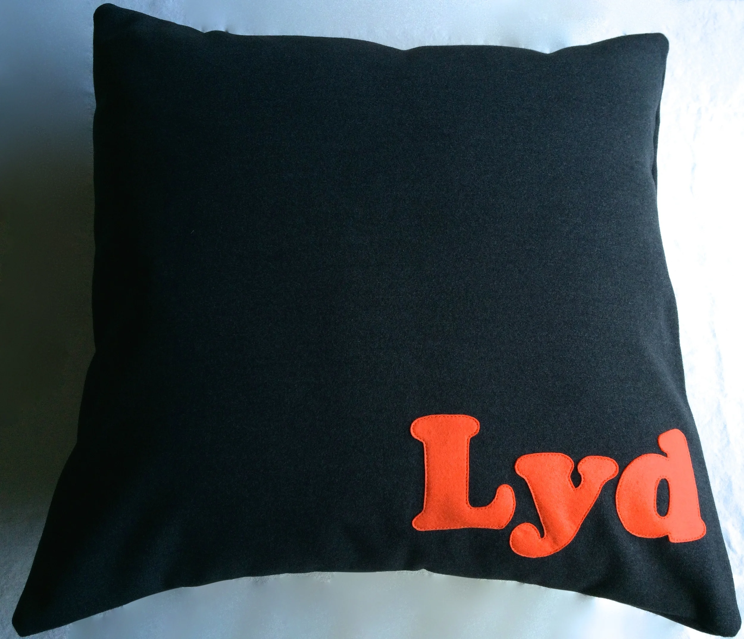 Lyd cushion.JPG
