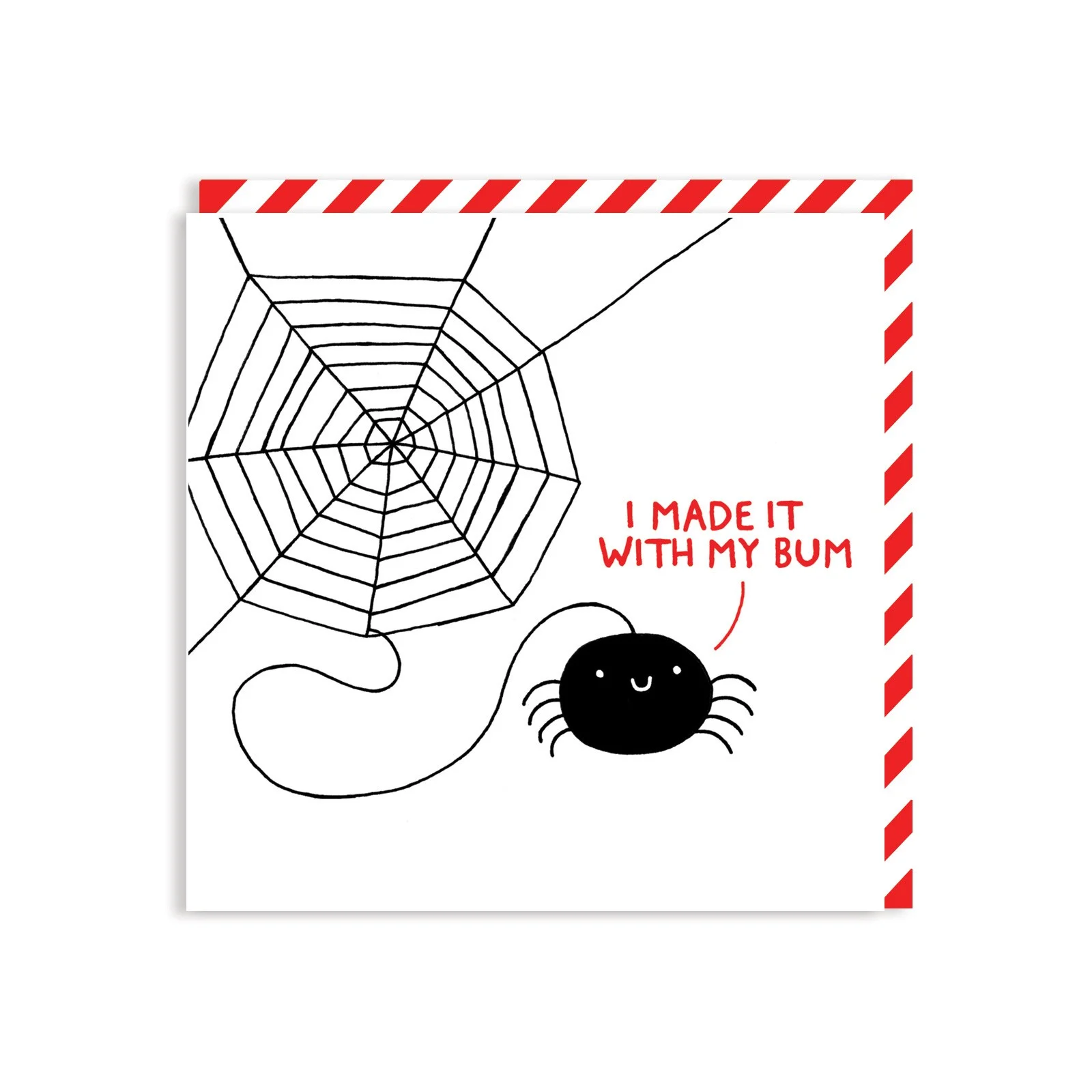 spider_2.jpg