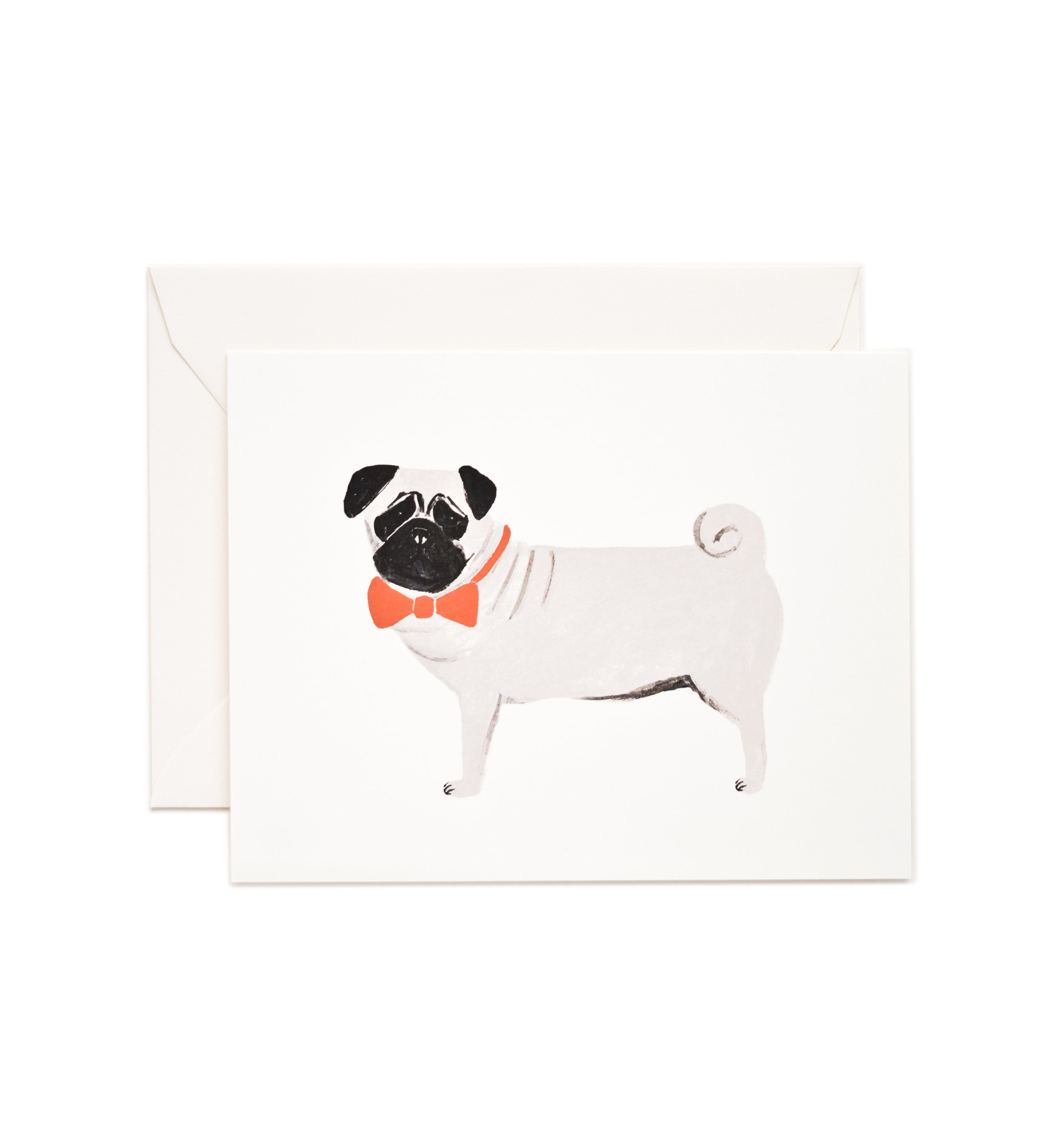 pug.jpg