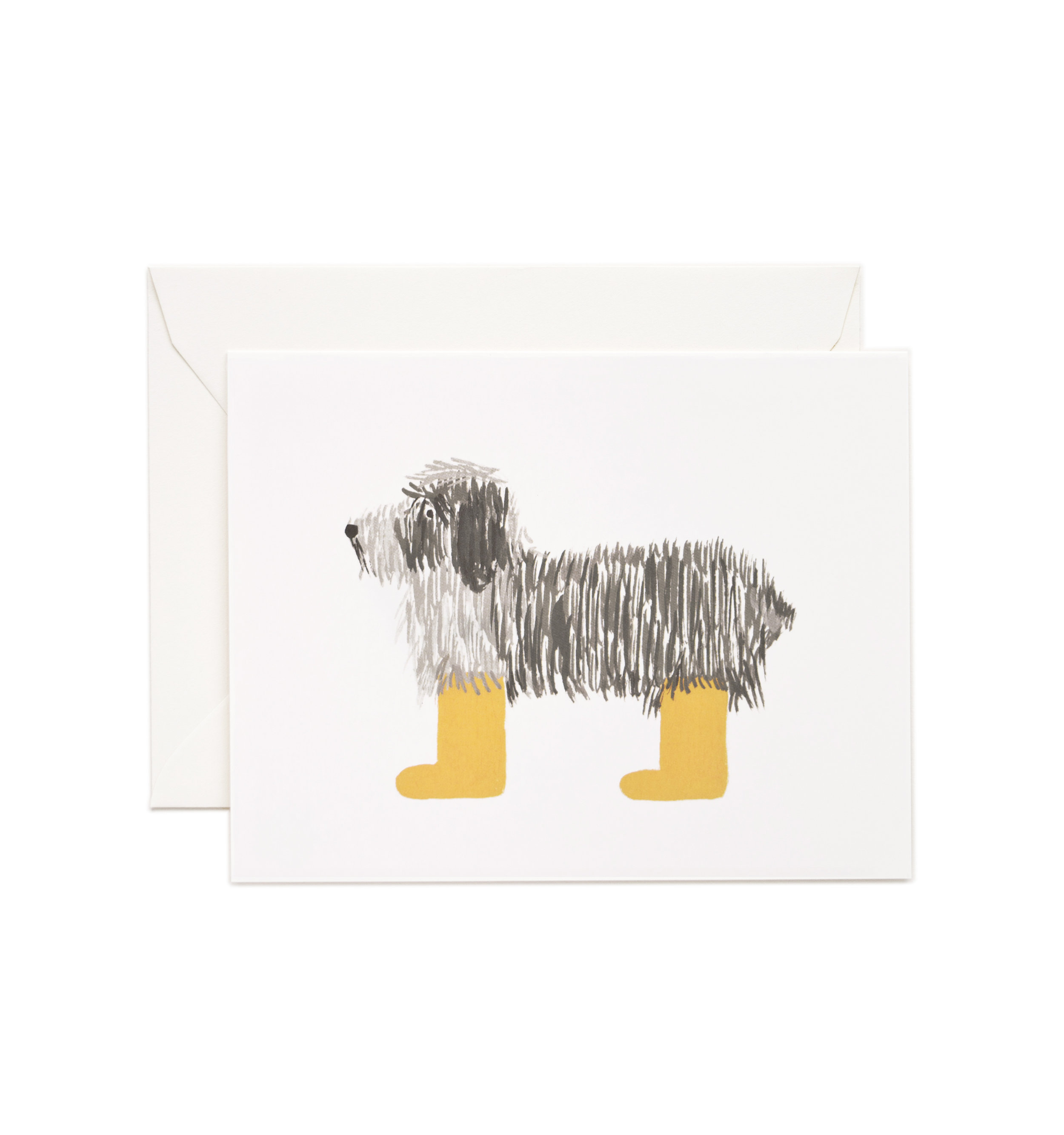 shaggy dog.jpg