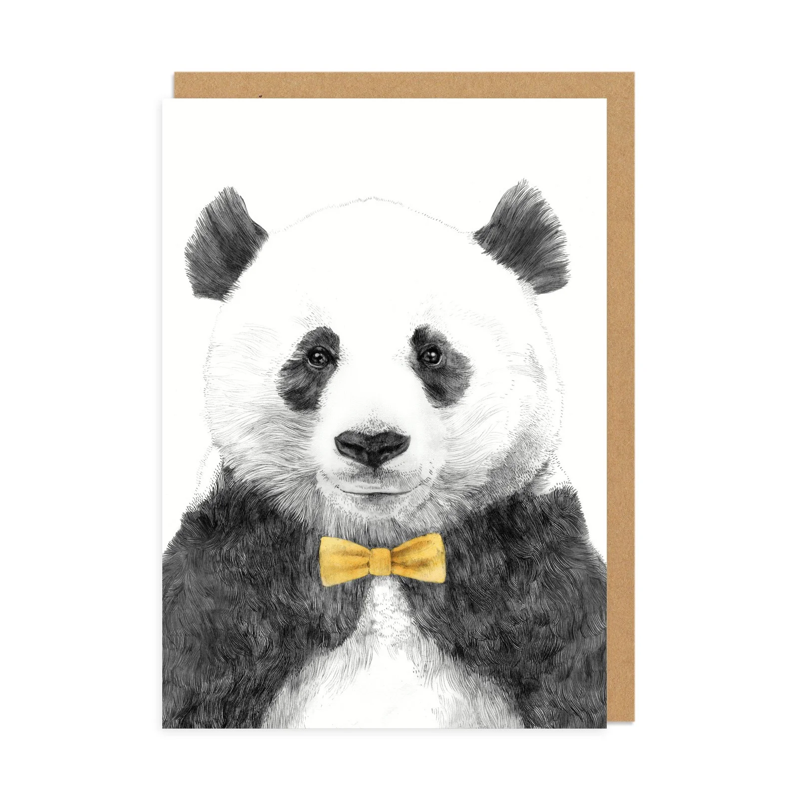 zhu_ii.jpg