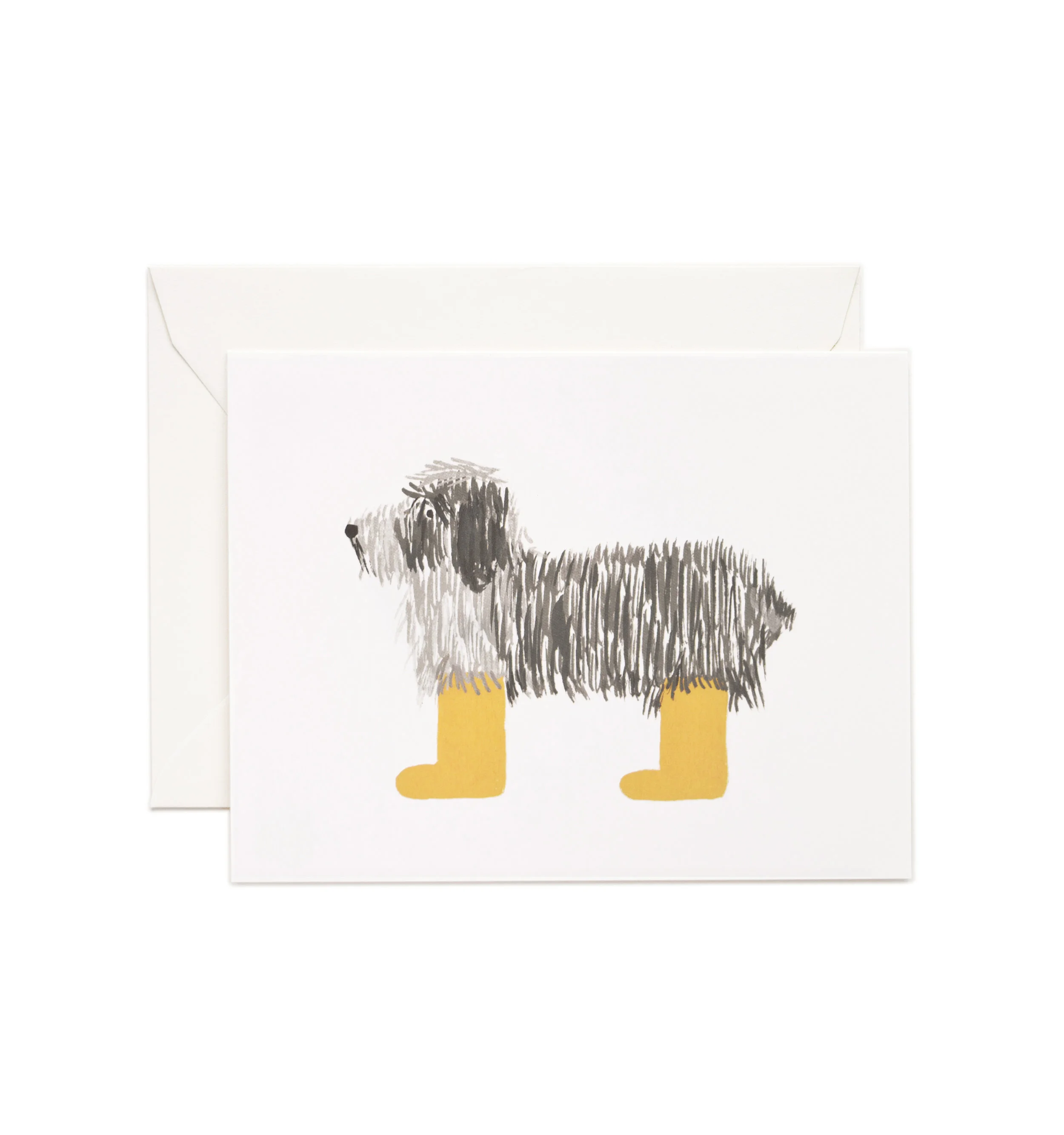 shaggy dog.jpg