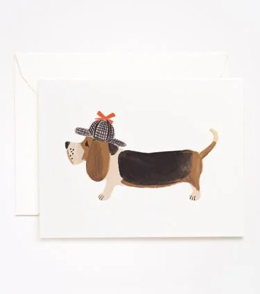 basset hound.jpg