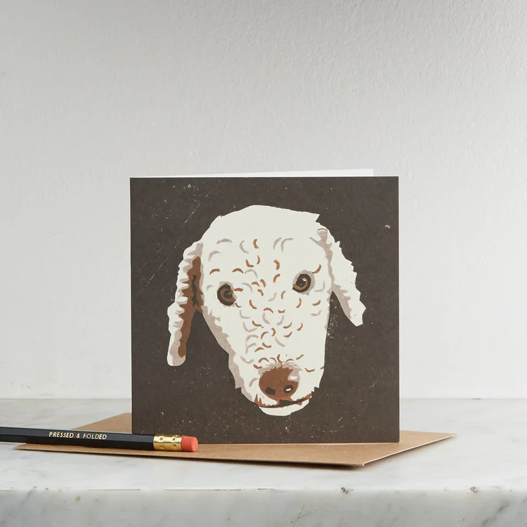JB Bedlington Terrier.jpg