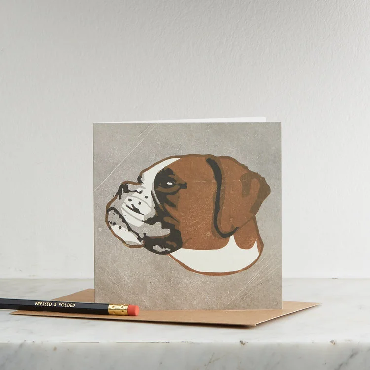 JB Boxer dog.jpg