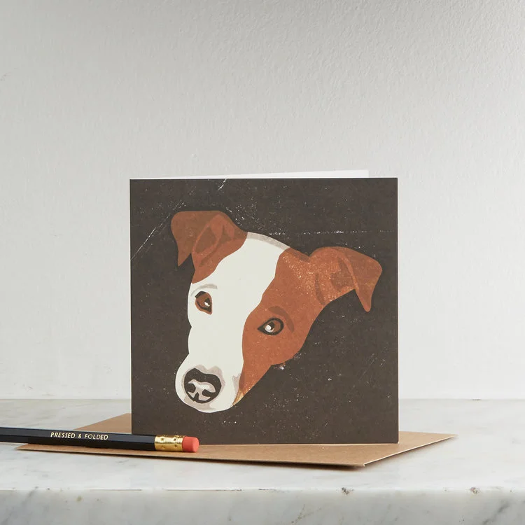 JB Jack Russell.jpg