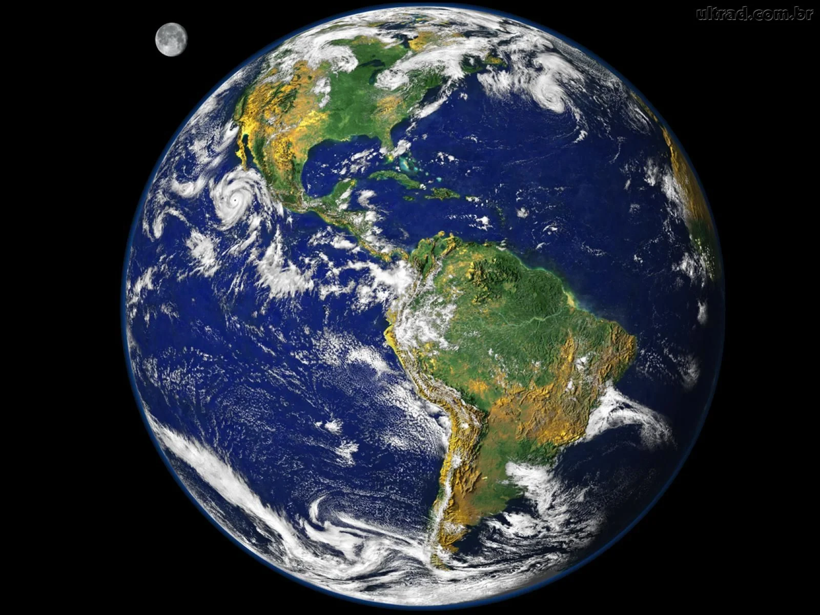 Mind your language: how global wine brands have to adapt around the world