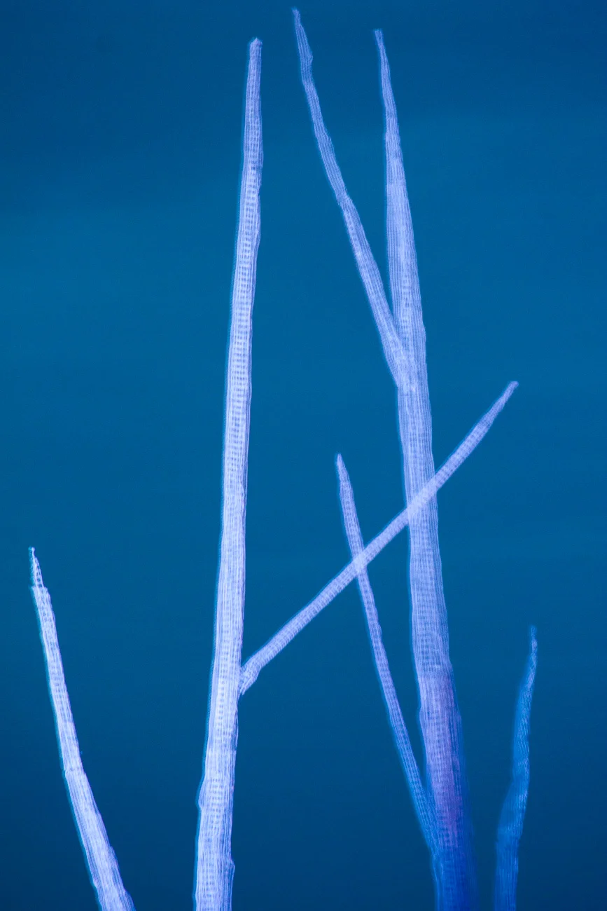 20D__MG_7427.jpg
