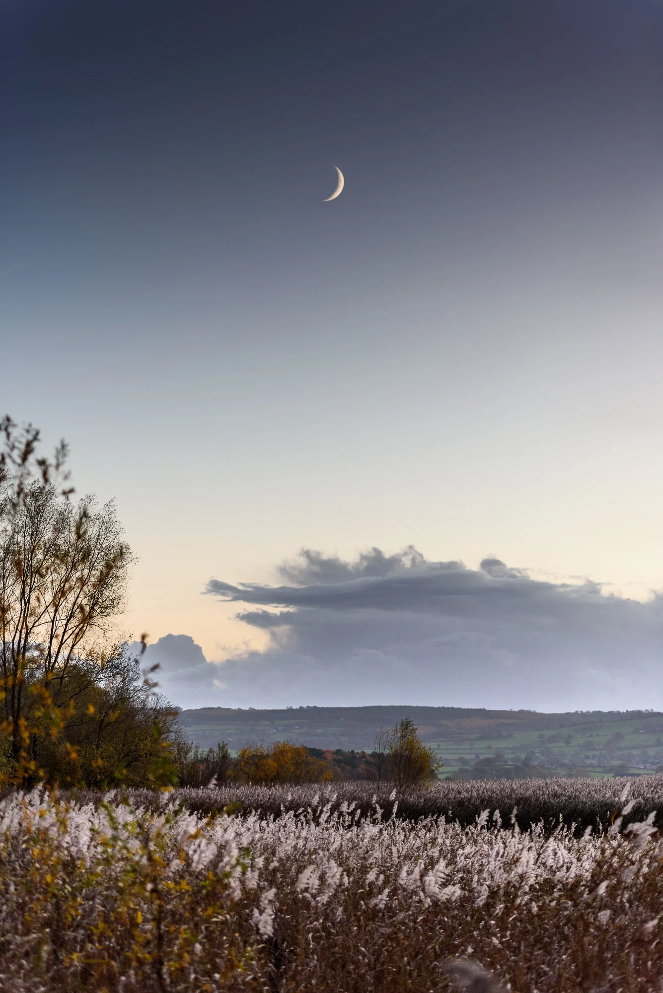 Chew Valley Lake, UK