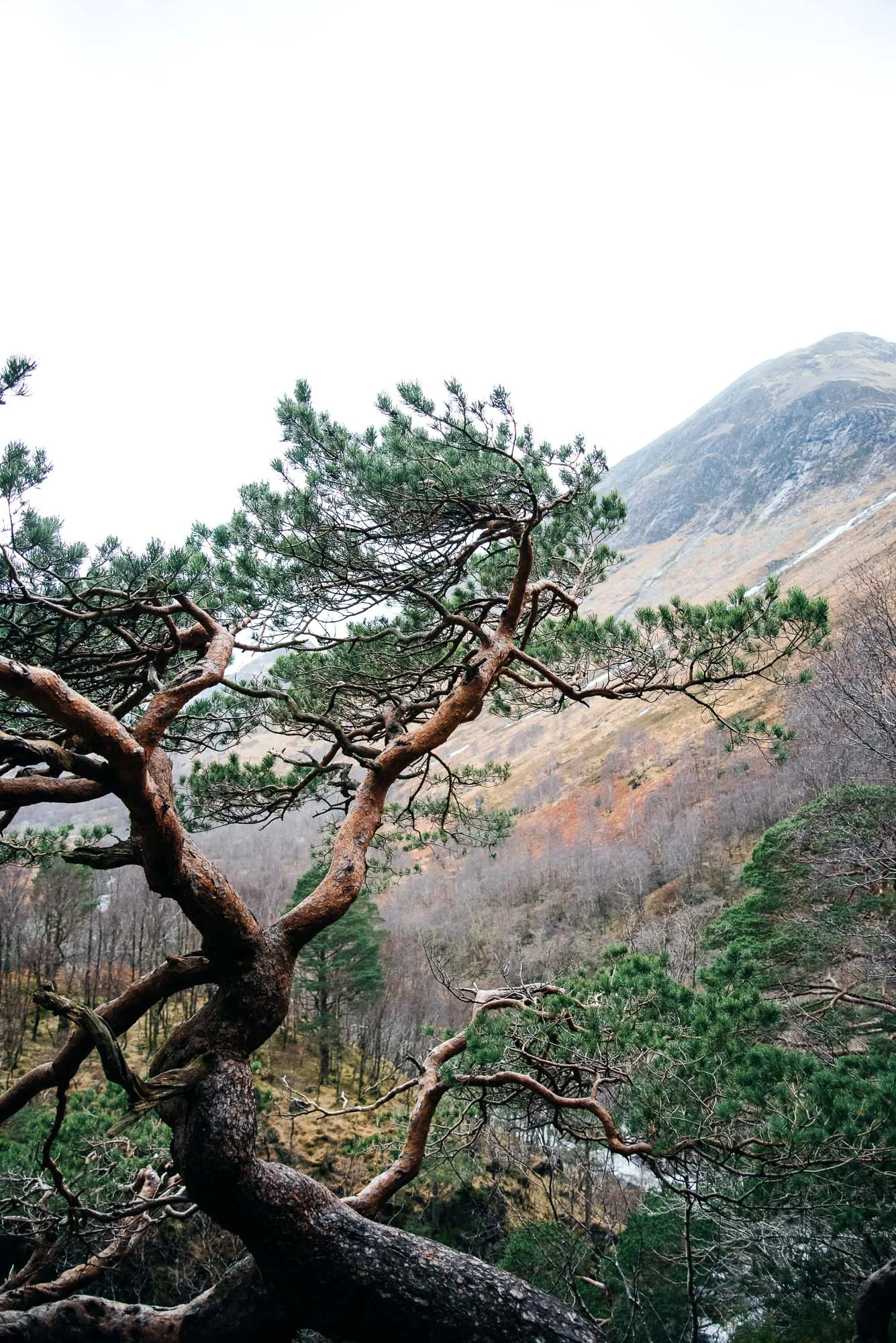 Highlands, Scotland