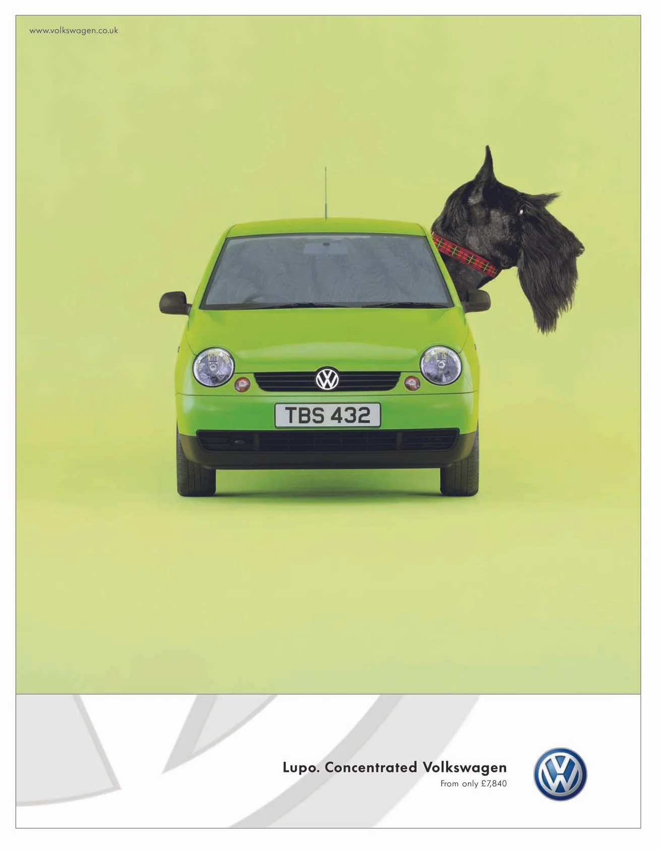 Lupo Dog 6 $.jpg
