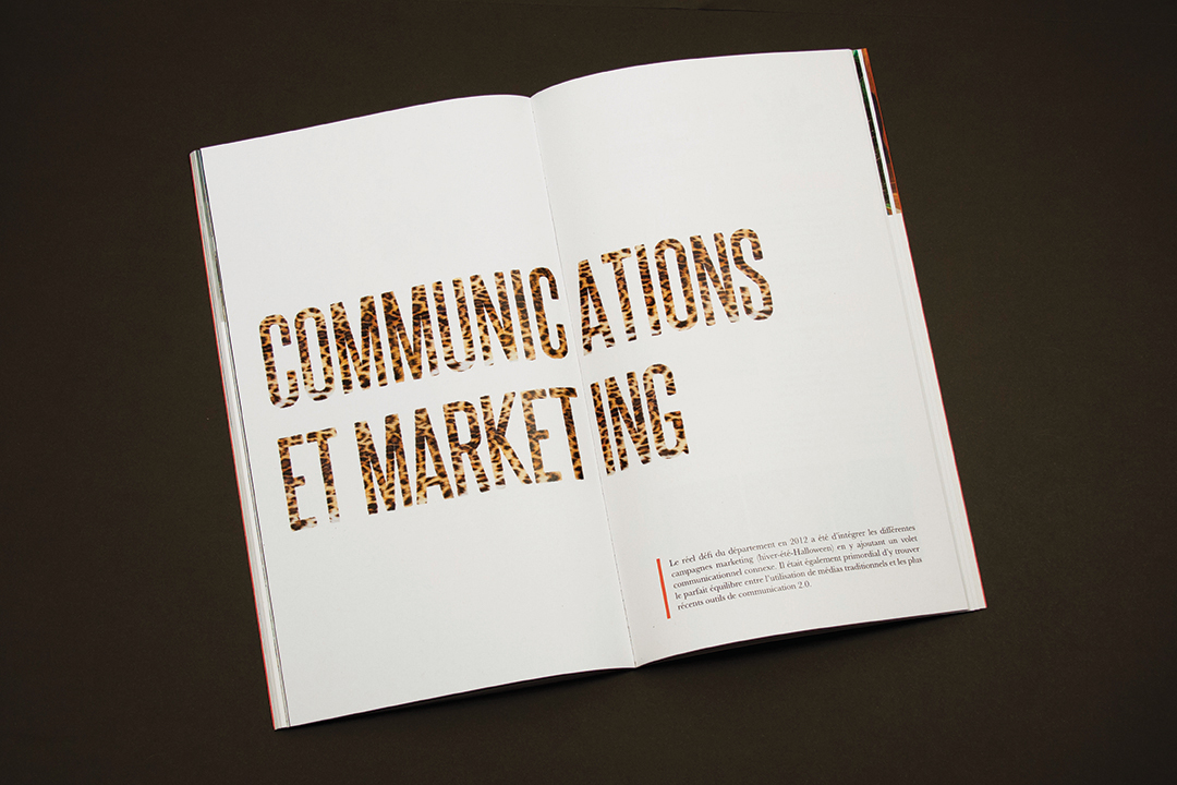 Merlicom_Book2014041.jpg